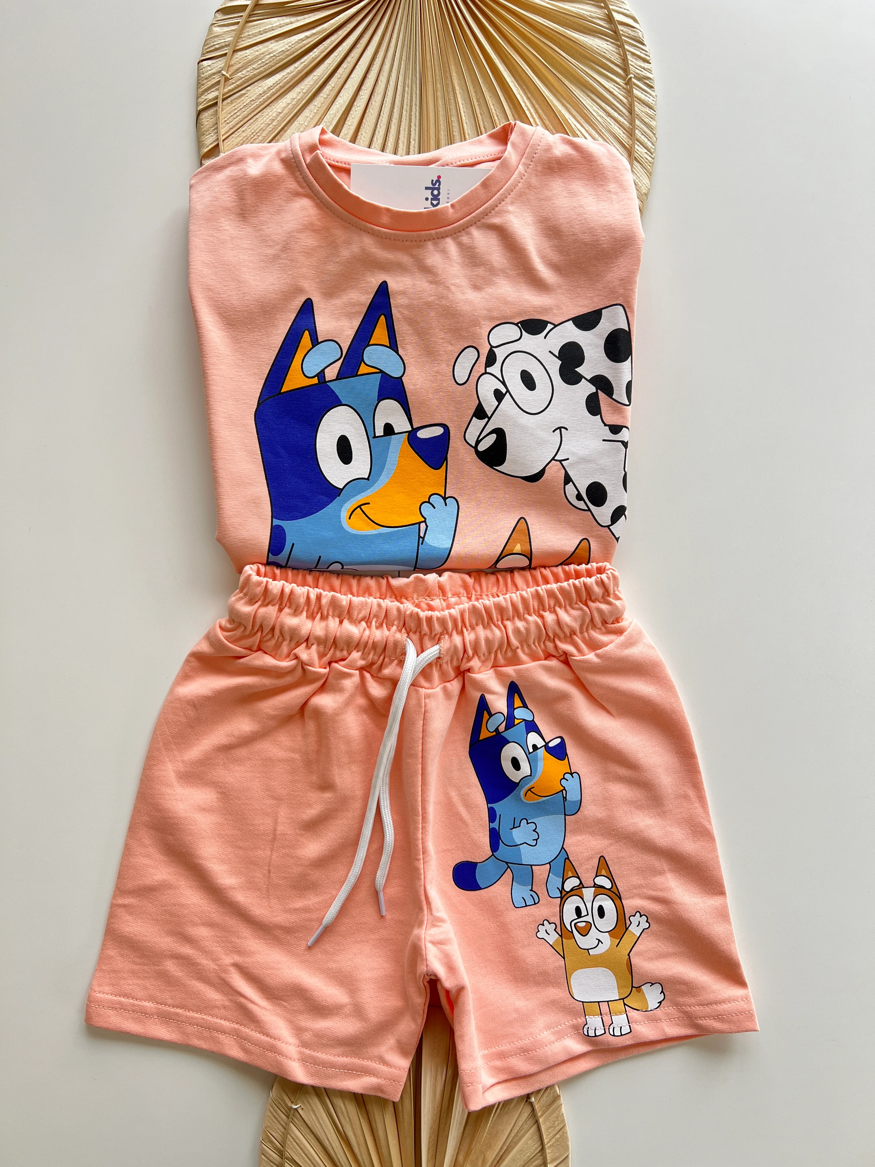 Bluey Bingo Baskılı Kız Çocuk Takım