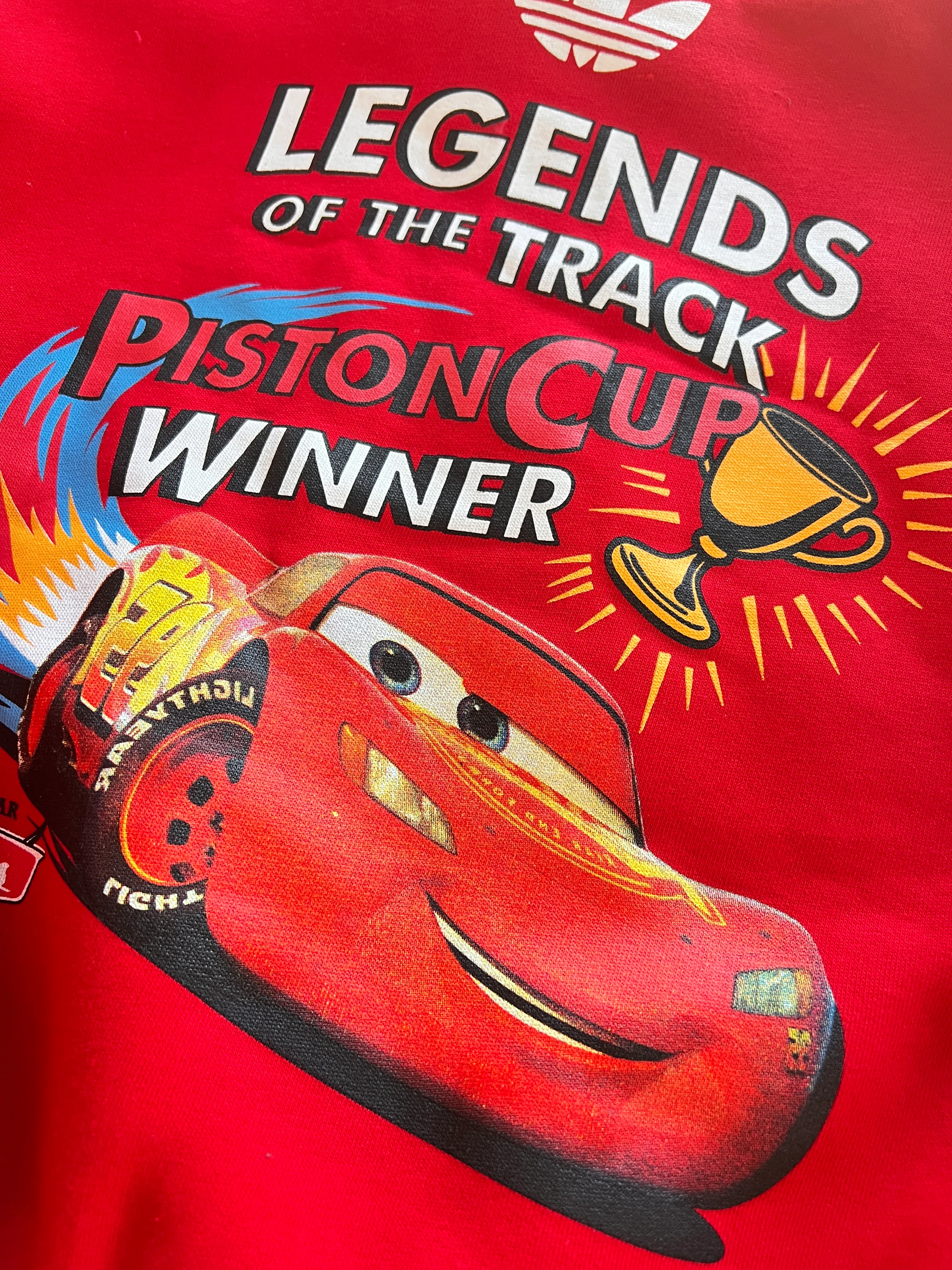 Yarışçı  Şardonlu Erkek Çocuk Takım