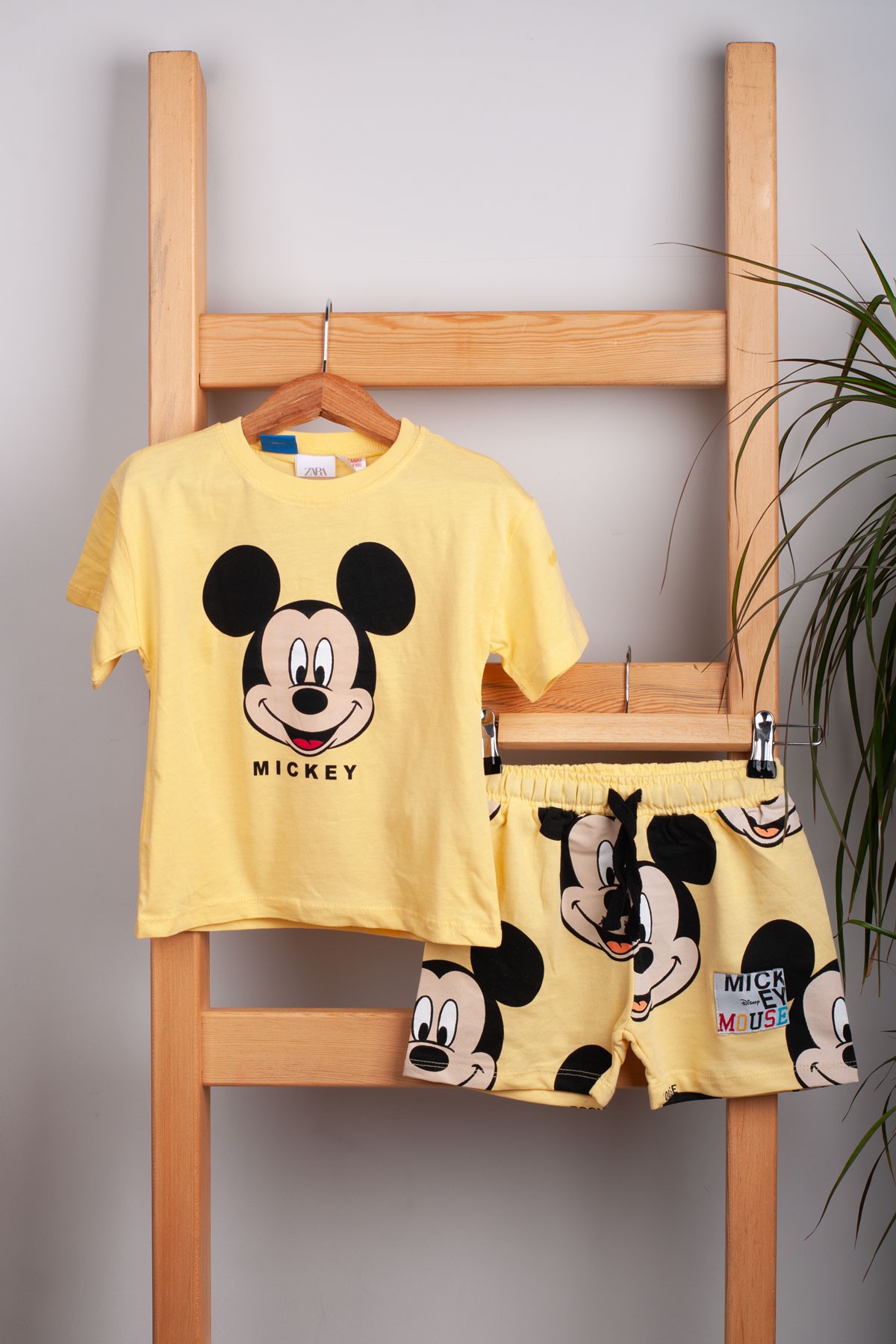 Mickeymouse Baskılı Düz Erkek Çocuk Şortlu Takım