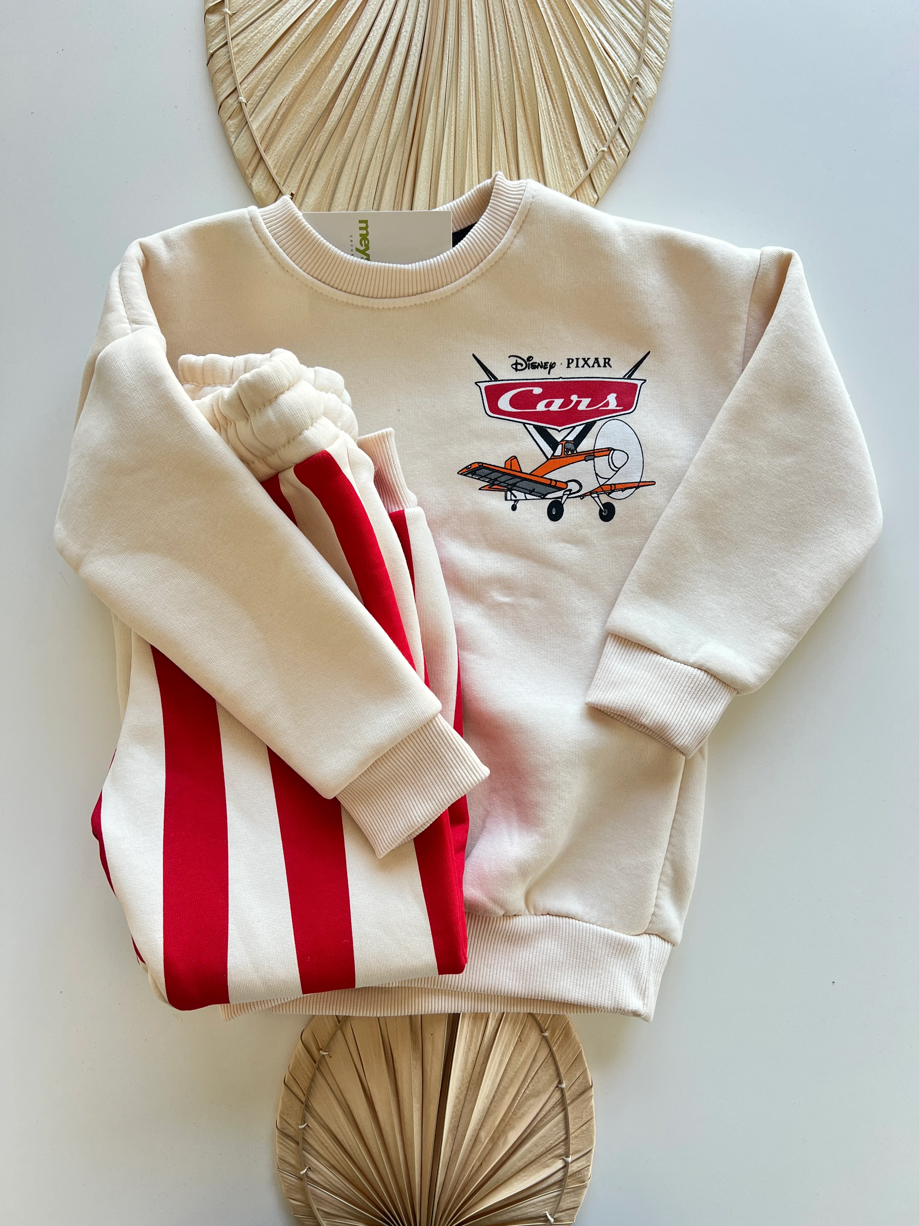 Dıno Park Şardonlu Erkek Çocuk Takım