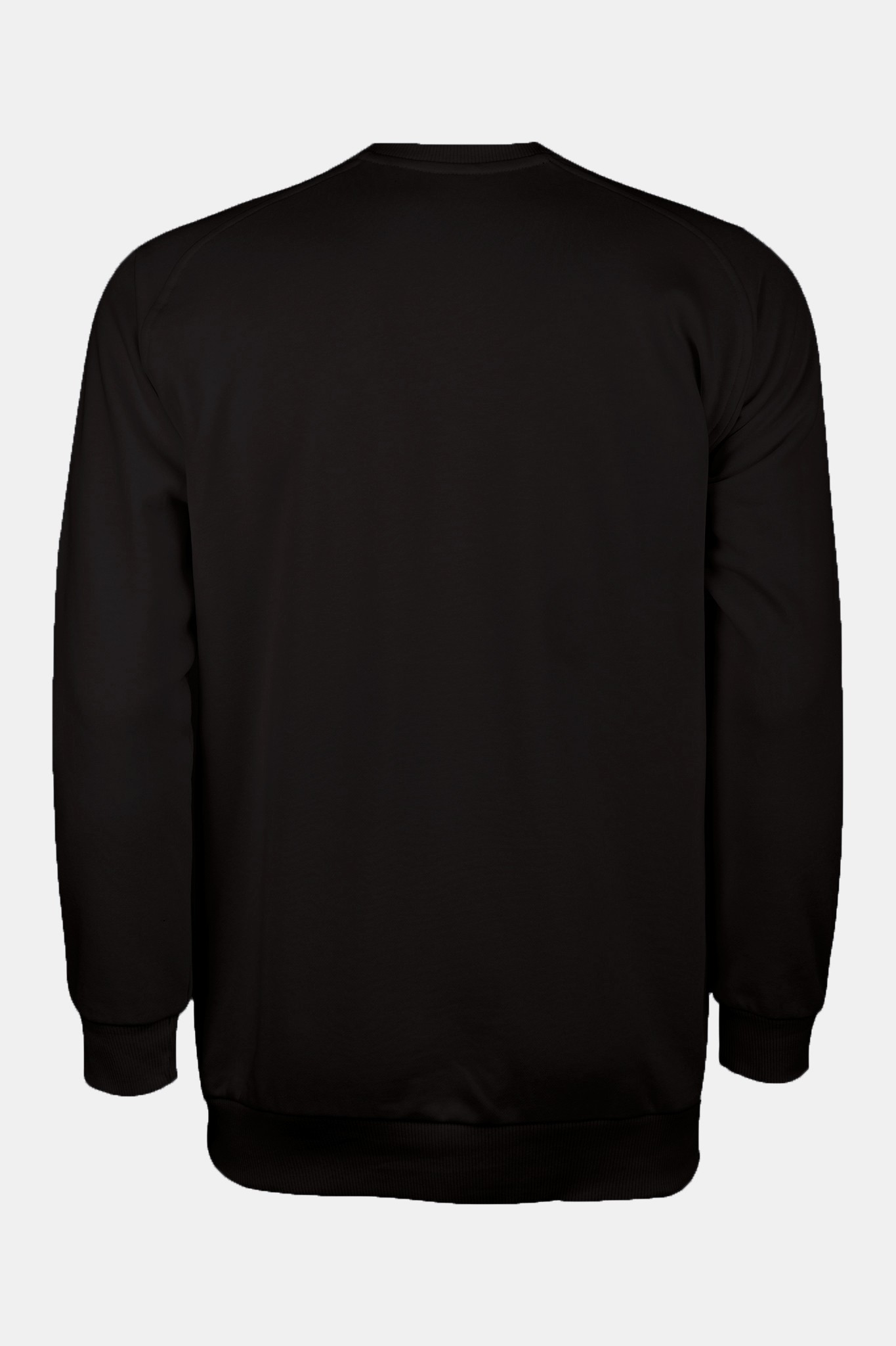 SIFIR YAKA SWEAT TEKLİ FİYAT