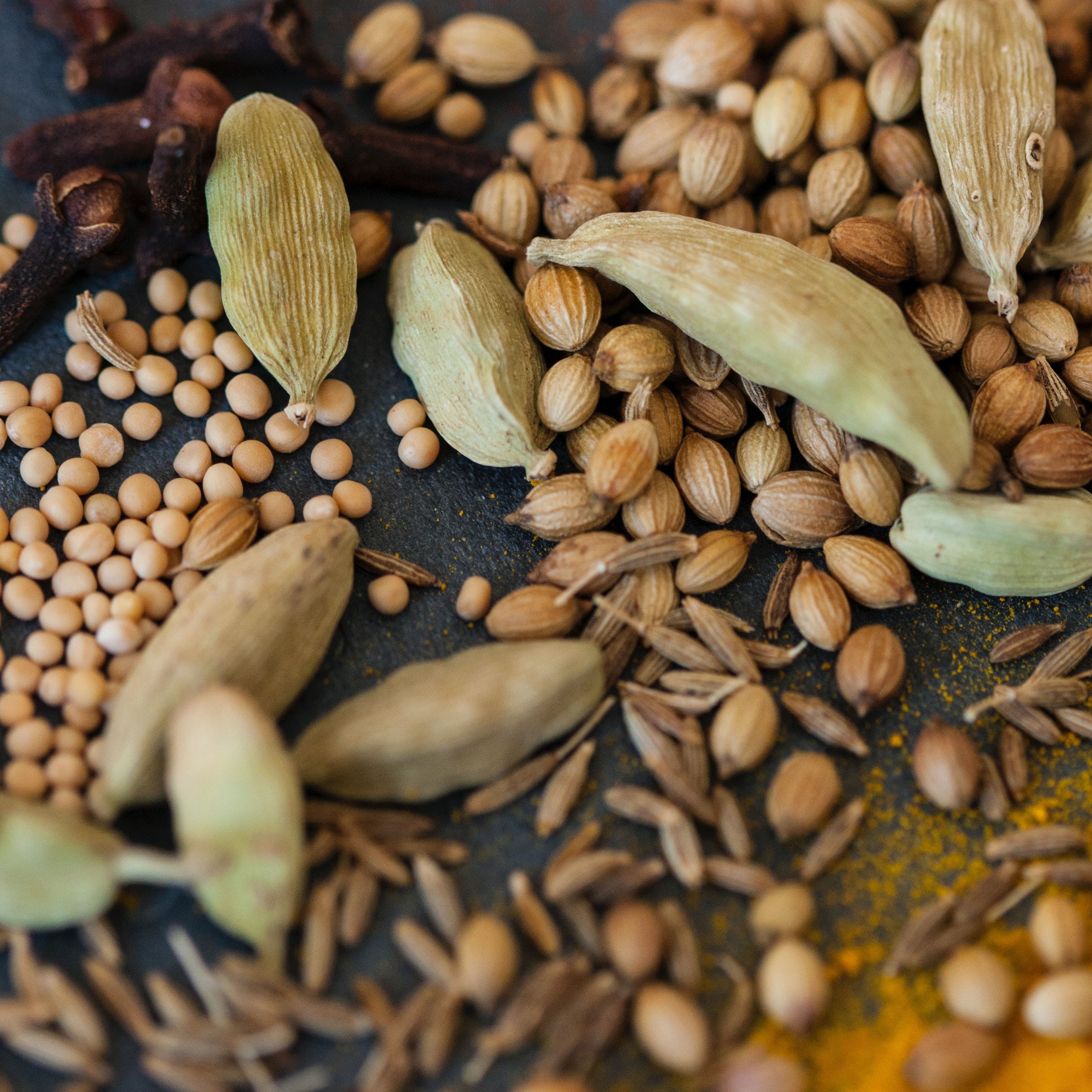 Atalık tohum sağlığımız için ne kadar önemli?
