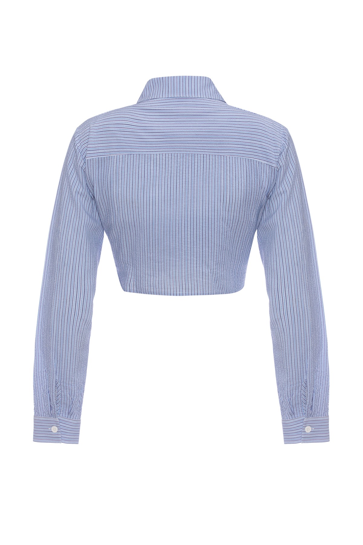 Scorpio Women's Blue Striped Crop Shirt