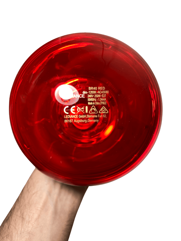Osram Ledvance 250w Infrared Ampul Br40 E27 Isıtıcılı Lamba Kırmızı Işık (4 Adet)