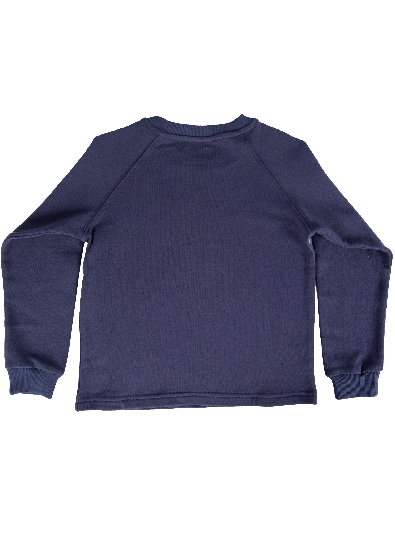 Organic Cotton Nature Printed Navy Blue Winter Boy Sweatshirt