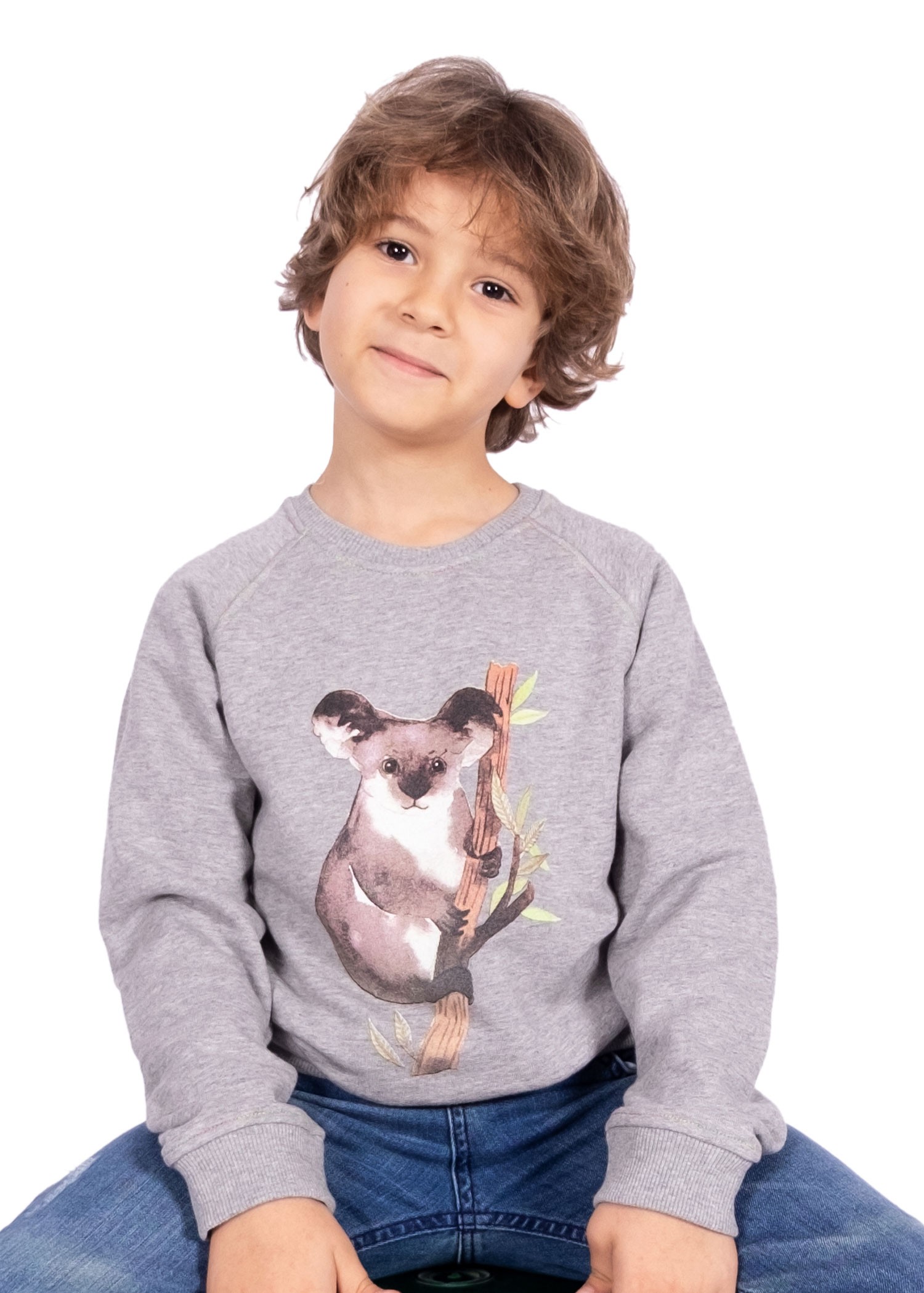 Organik Pamuk Koala Baskılı Gri Kışlık Erkek Çocuk Sweatshirt