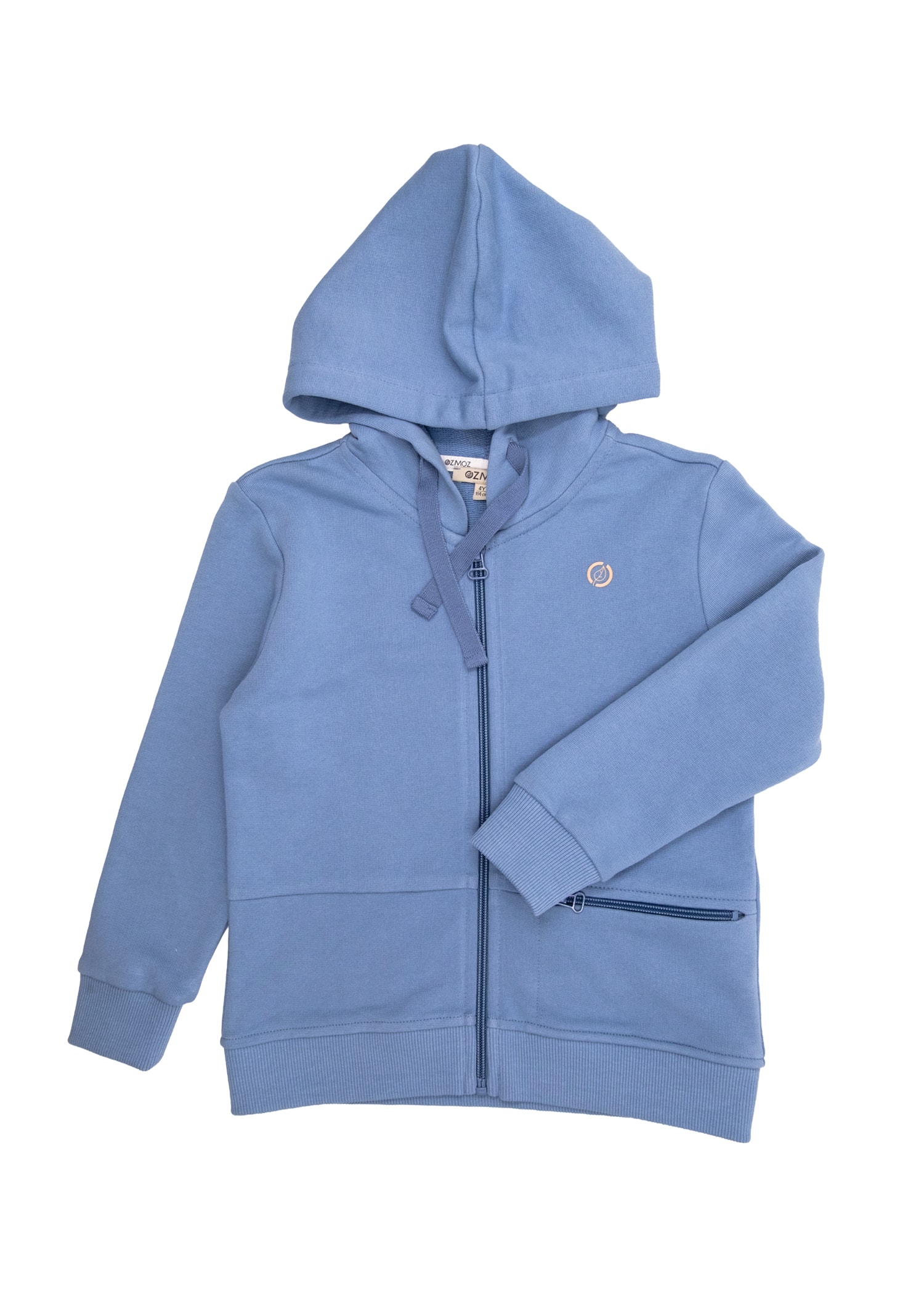 Organic Ashleigh Blue Toddler Boy Hoodie