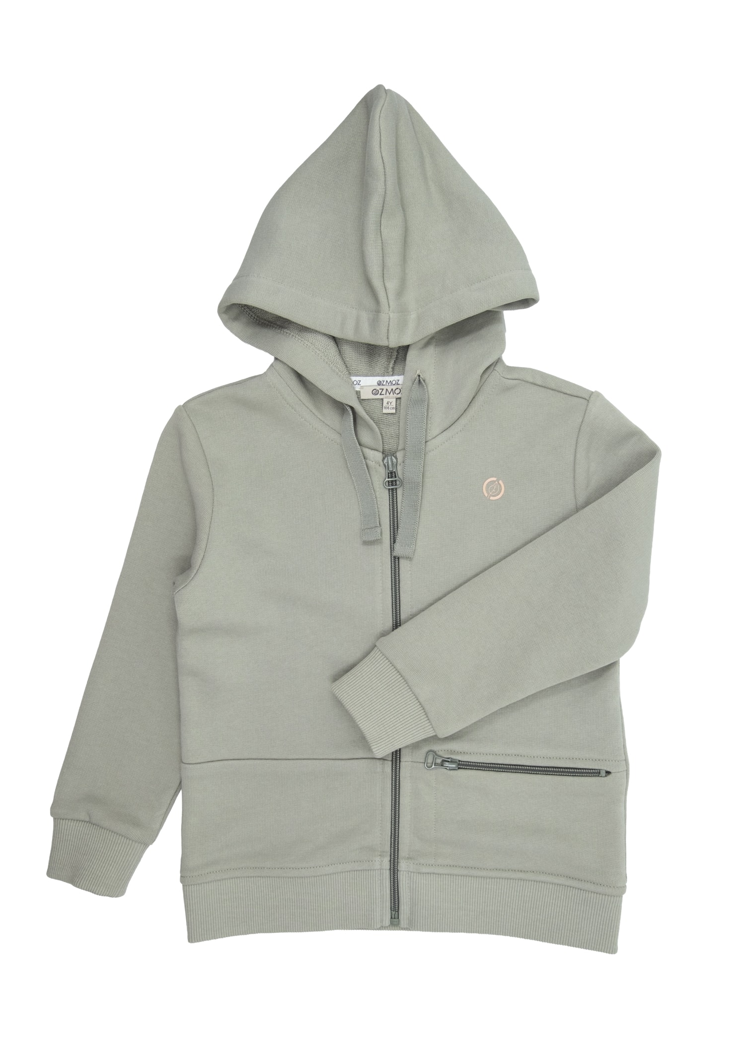 Organic Desert Sage Toddler Boy Hoodie