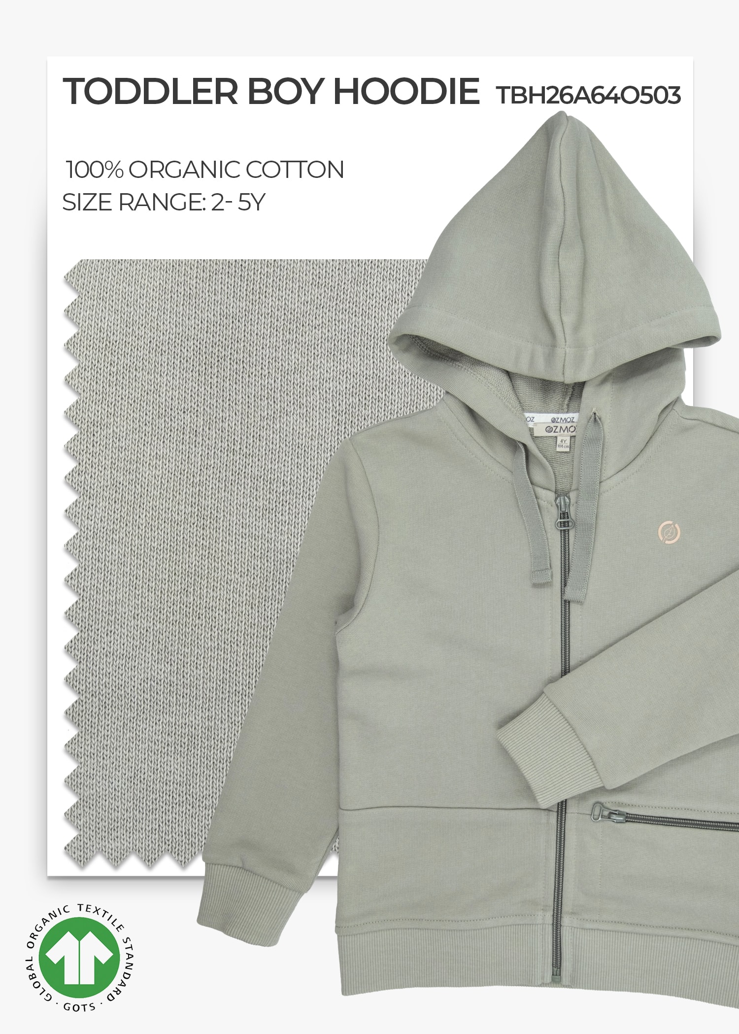 Organic Desert Sage Toddler Boy Hoodie