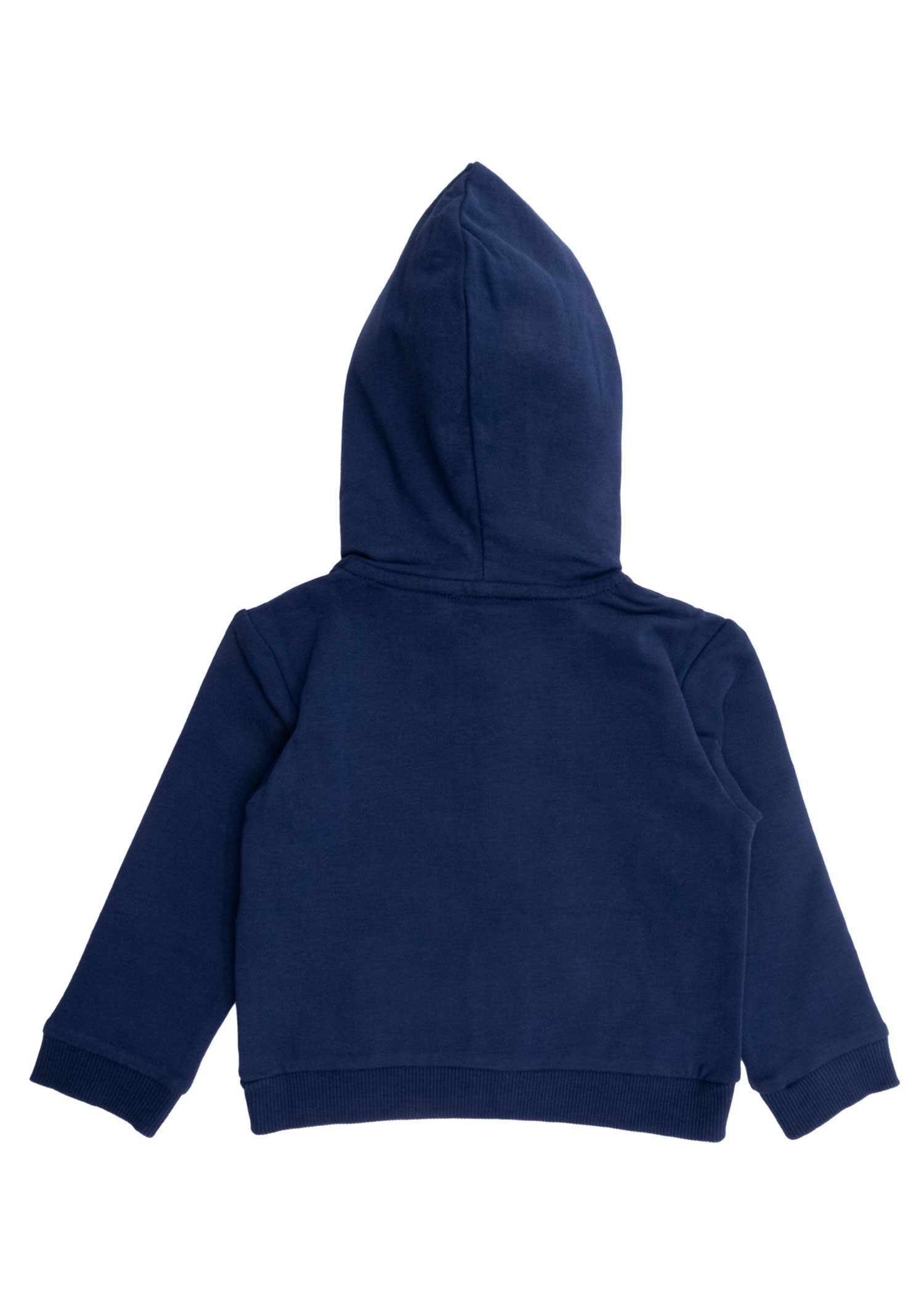 Hooded Zippered Navy Blue Winter Little Men's Tracksuit Set