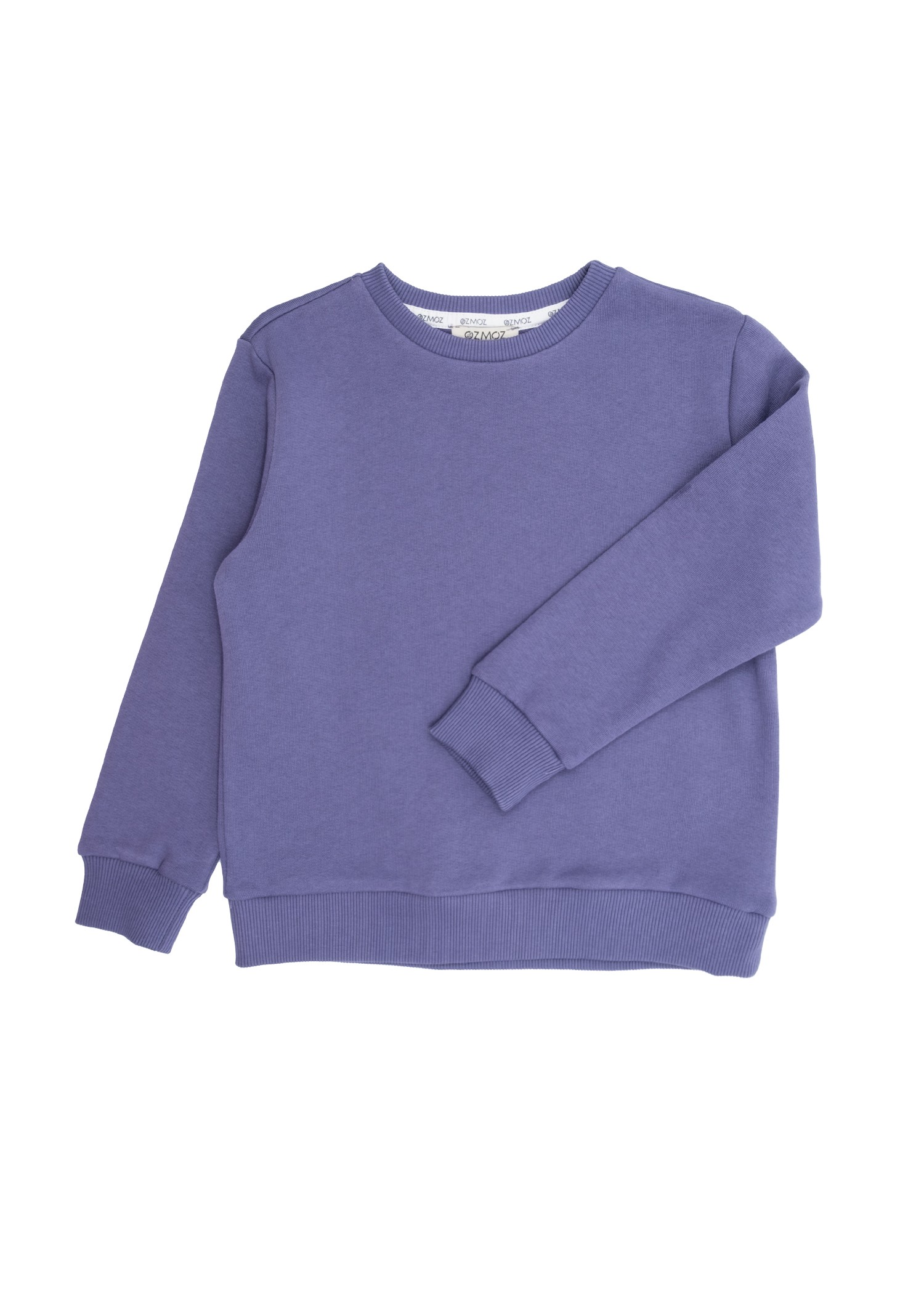 Organic Purple Winter Girls Little Kids Sweatshirt