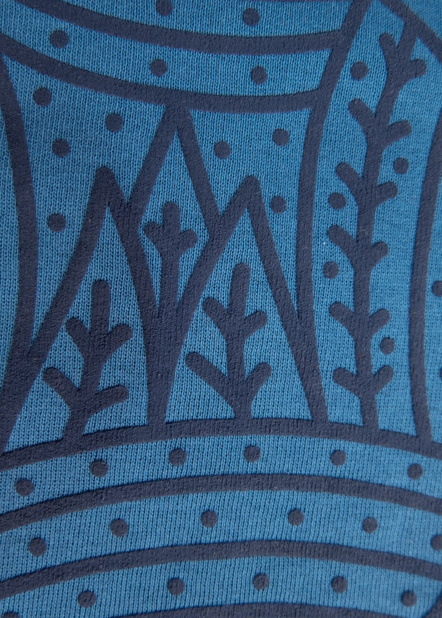 Organic Cotton Nature Printed Winter Boys' Sweatshirt Blue