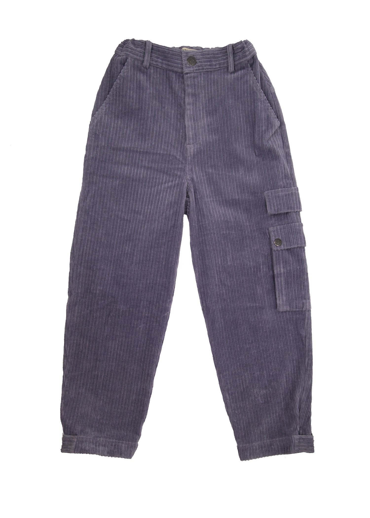 Organic Quick Silver Boy Pant