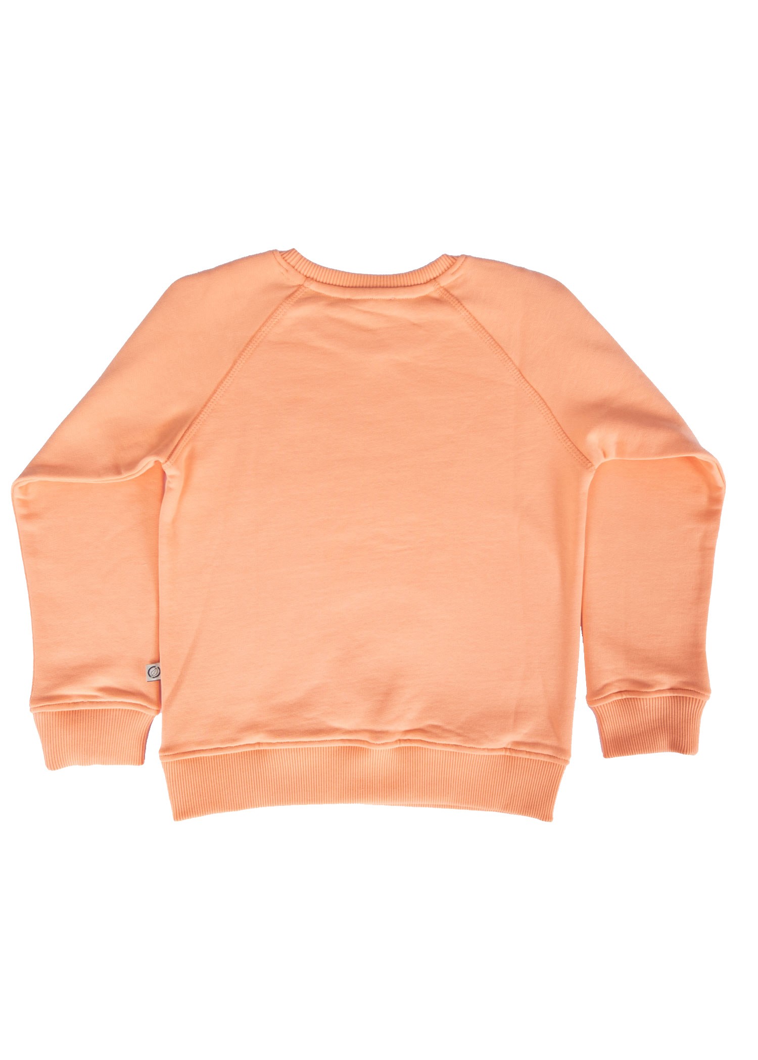 Organik Turuncu Kışlık Kız Çocuk Sweatshirt