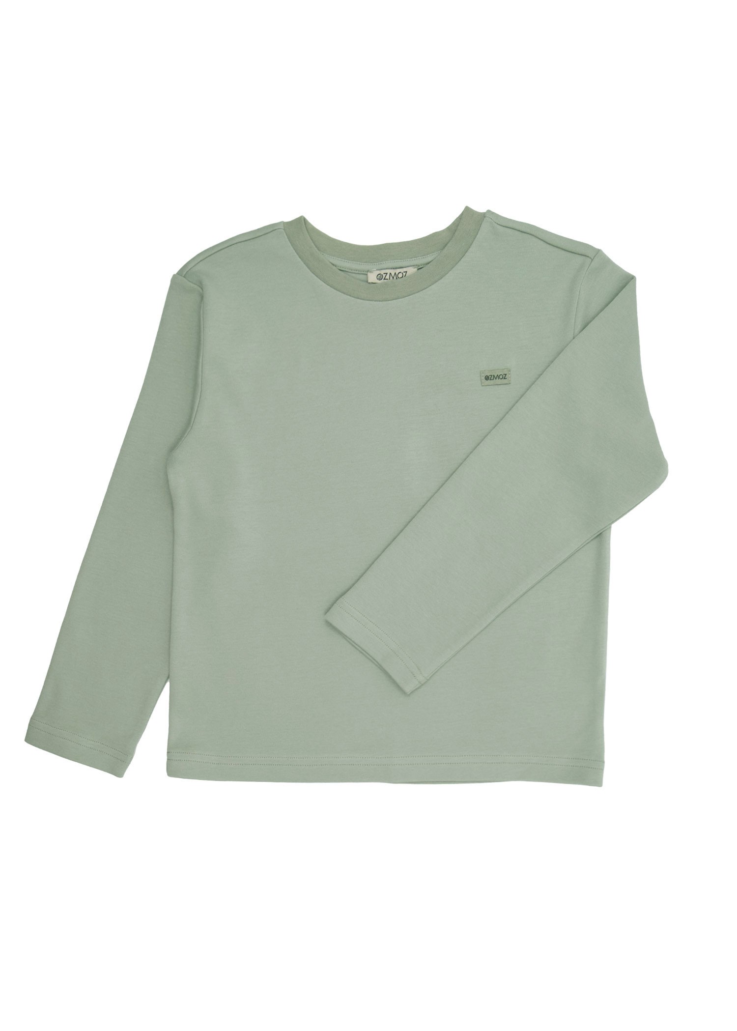 Organic Desert Sage Toddler Boy Top