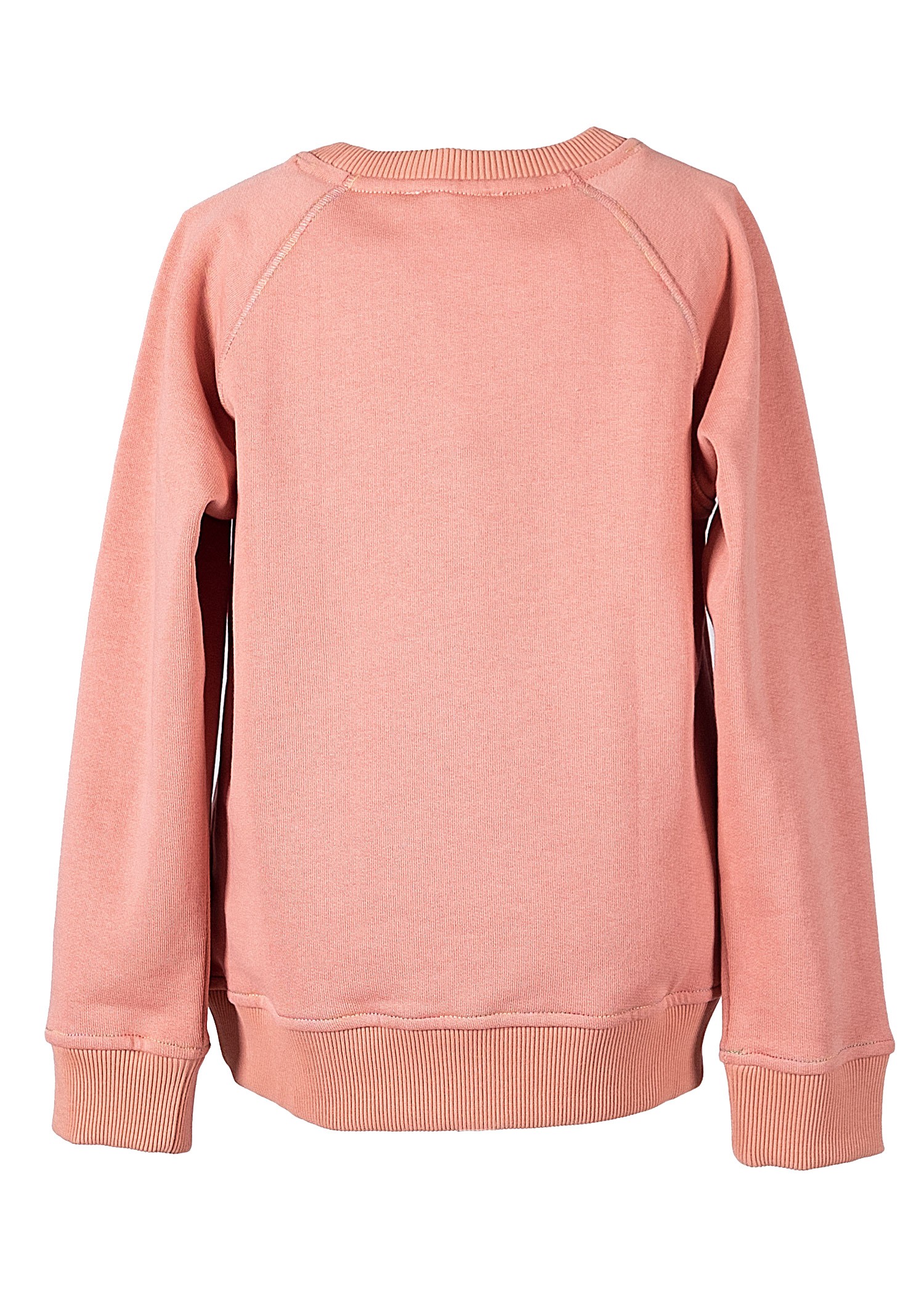 Organik Baskılı Pembe Kışlık Kız Çocuk Sweatshirt