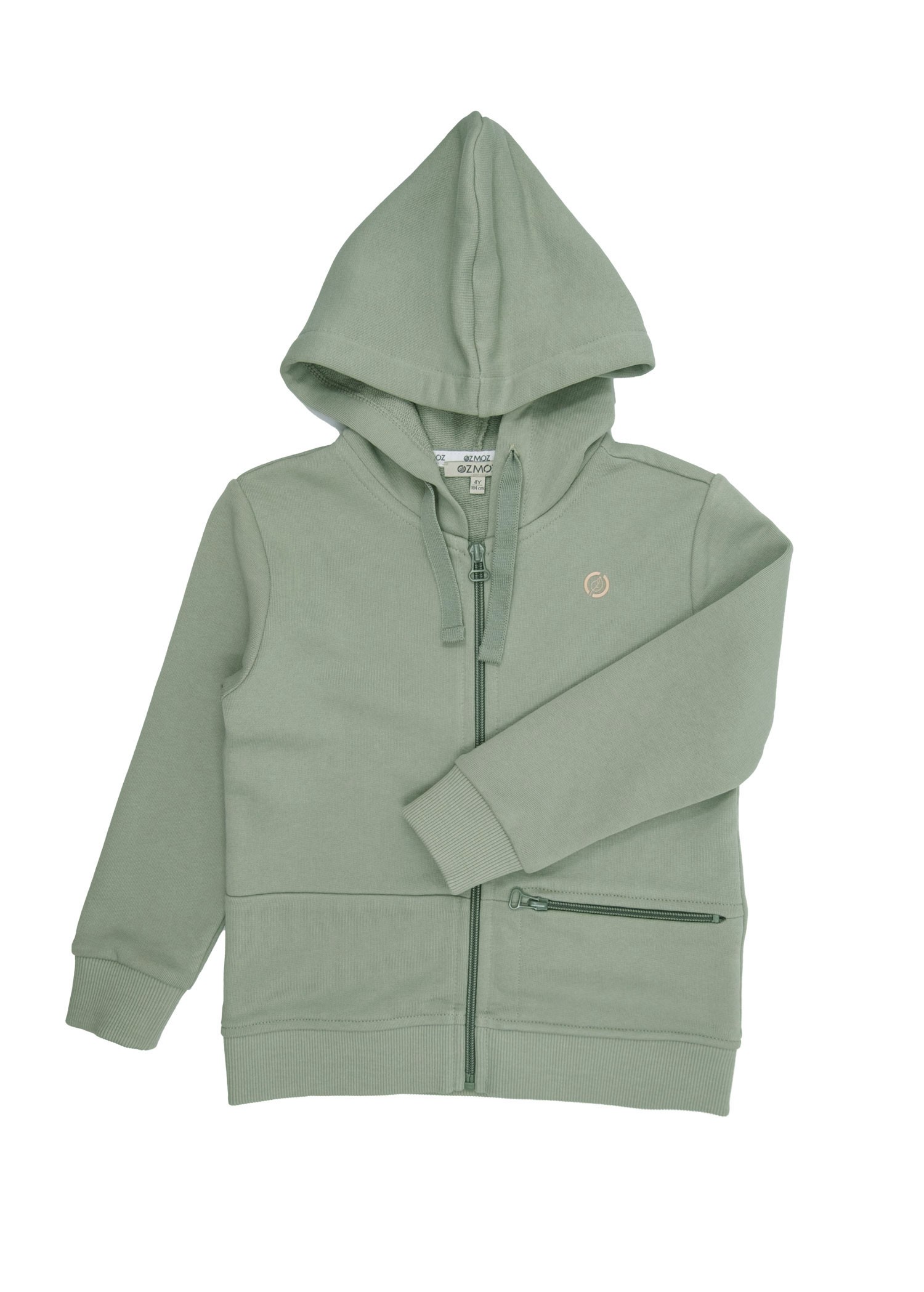 Organic Quick Silver Toddler Boy Hoodie