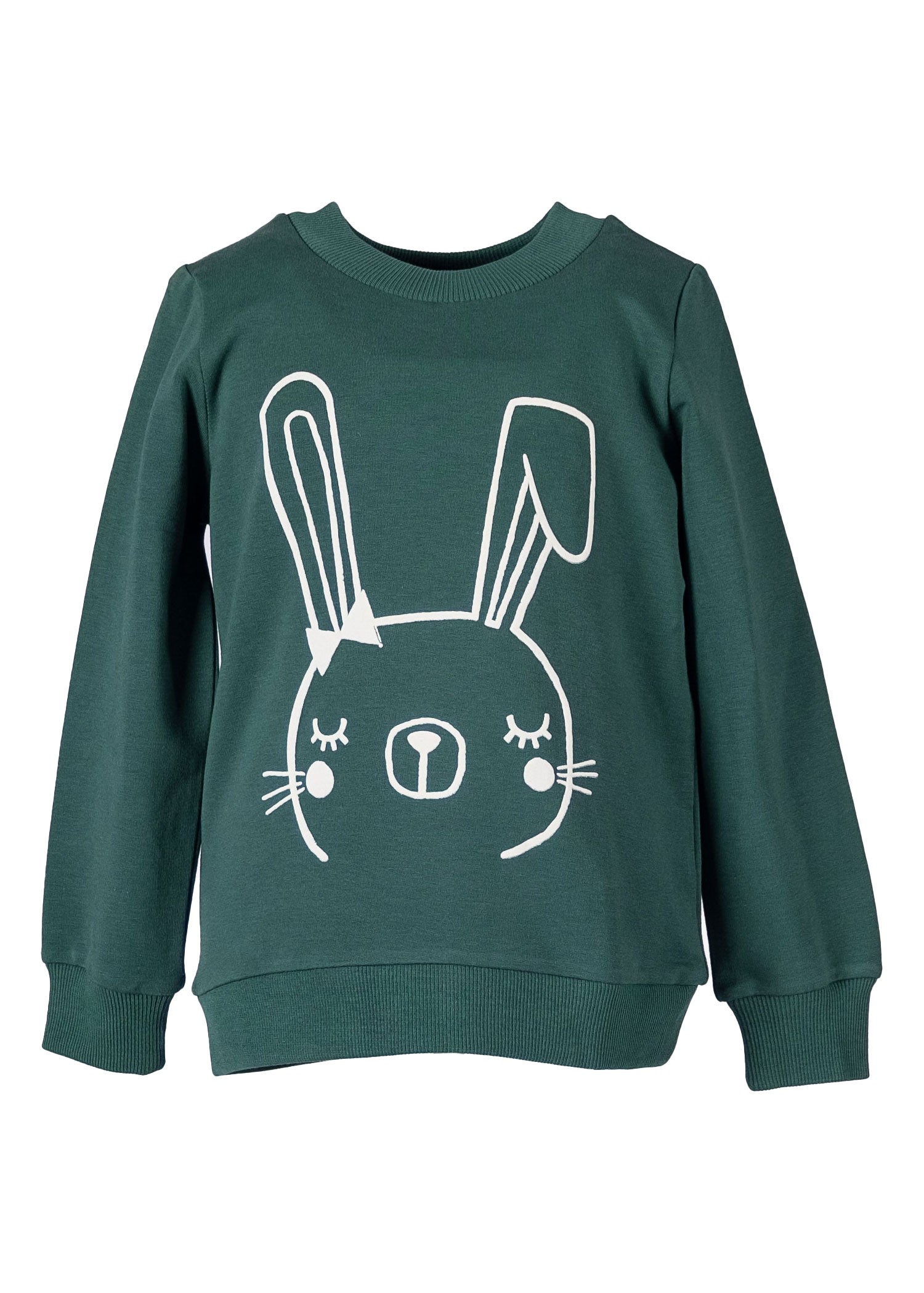 100% Cotton Printed Green Winter Girls Sweatshirt