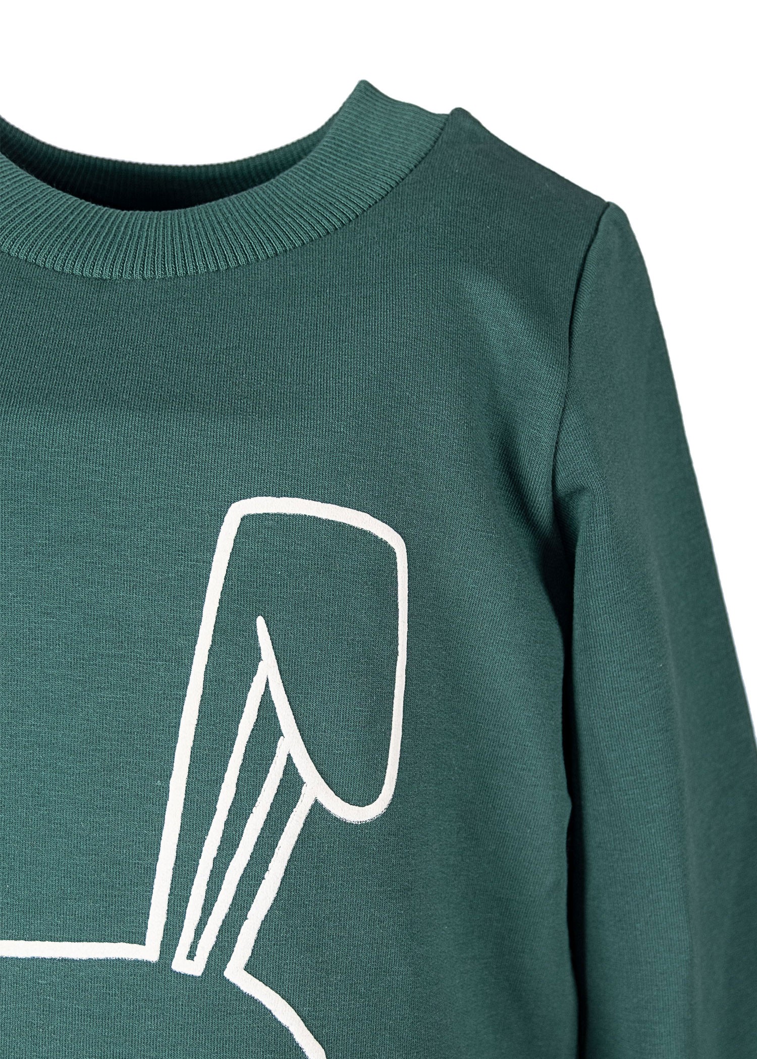 100% Cotton Printed Green Winter Girls Sweatshirt