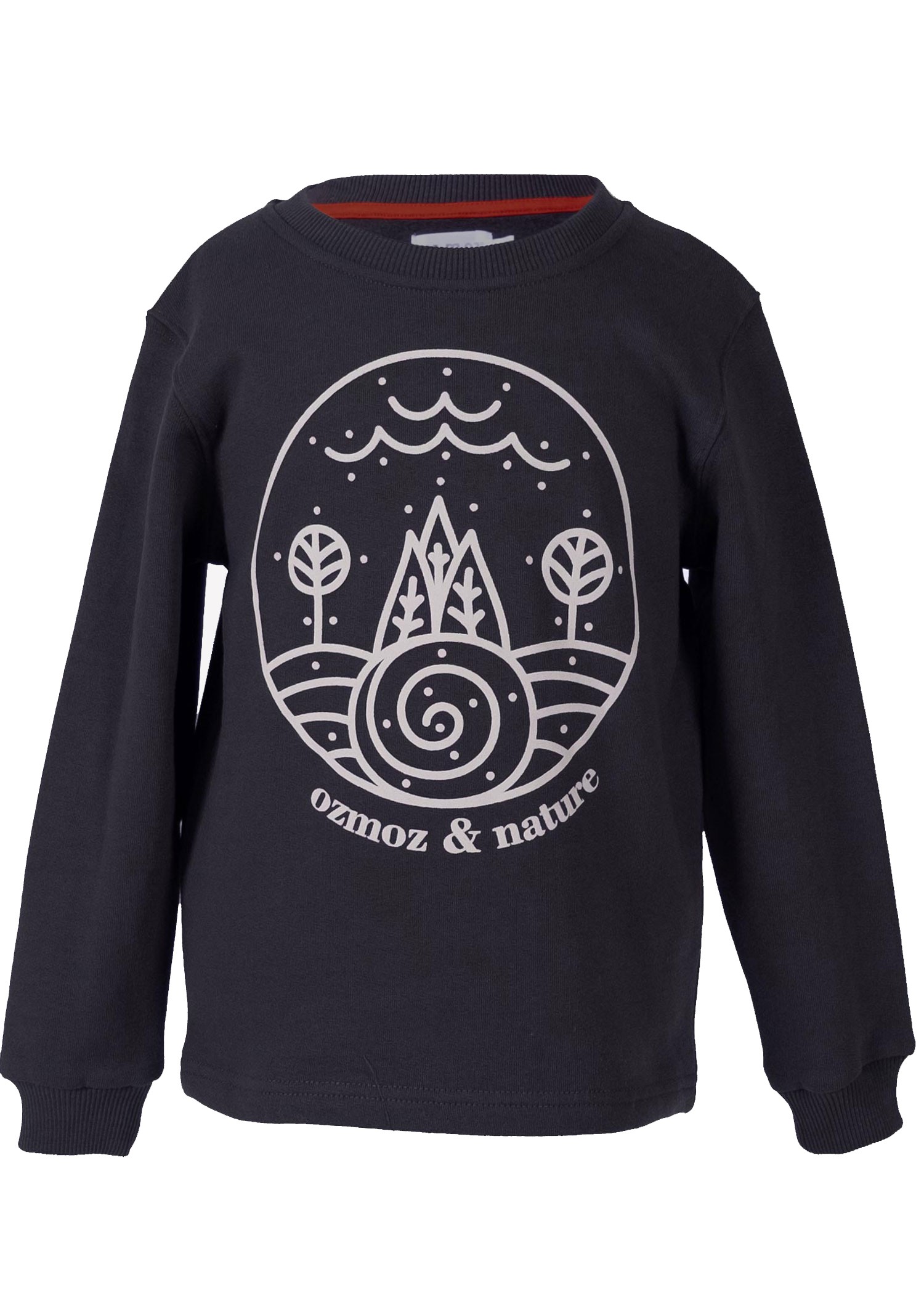 Organik Pamuk Grafik Baskılı Antrasit Kışlık Erkek Çocuk Sweatshirt