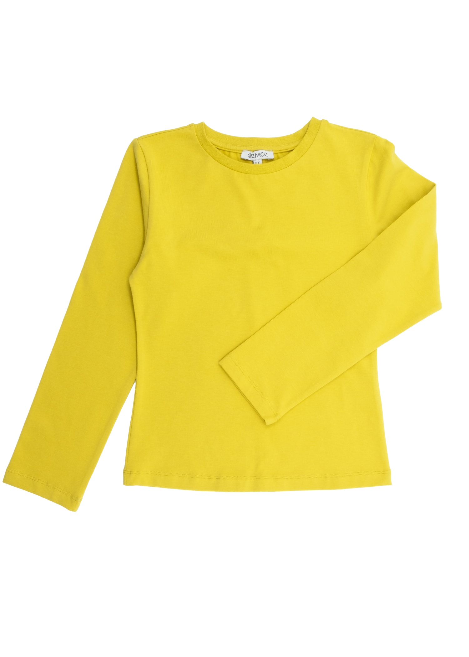 Organik Açık Yeşil Kışlık Kız Çocuk Sweatshirt