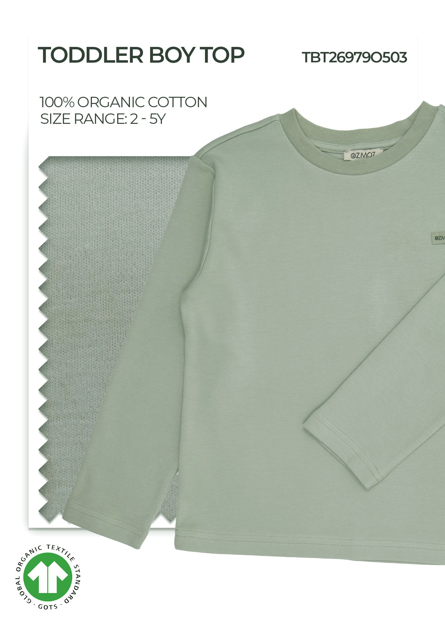 Organic Desert Sage Toddler Boy Top