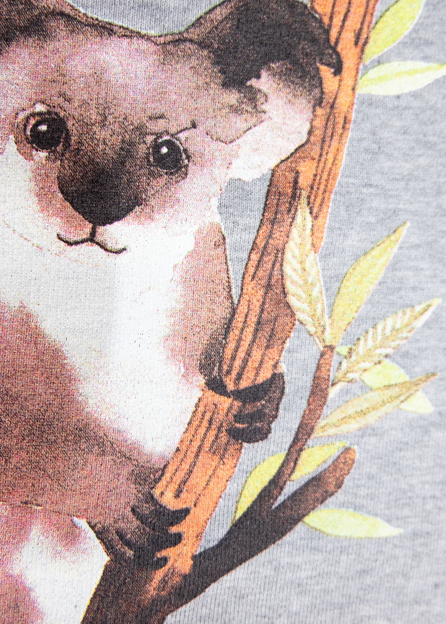 Organic Cotton Koala Printed Gray Winter Boy Sweatshirt