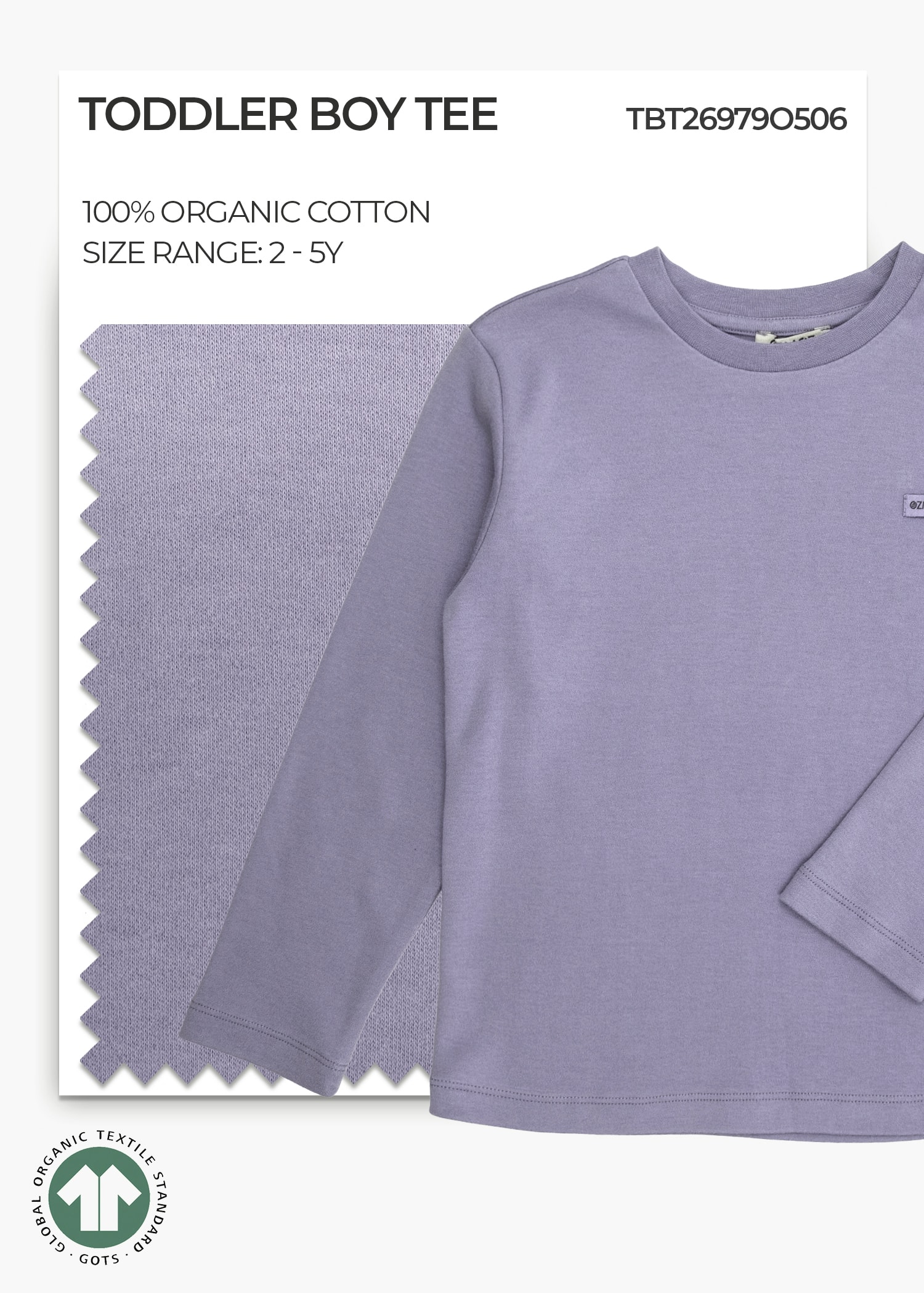 Organic Quick Silver Toddler Boy Top