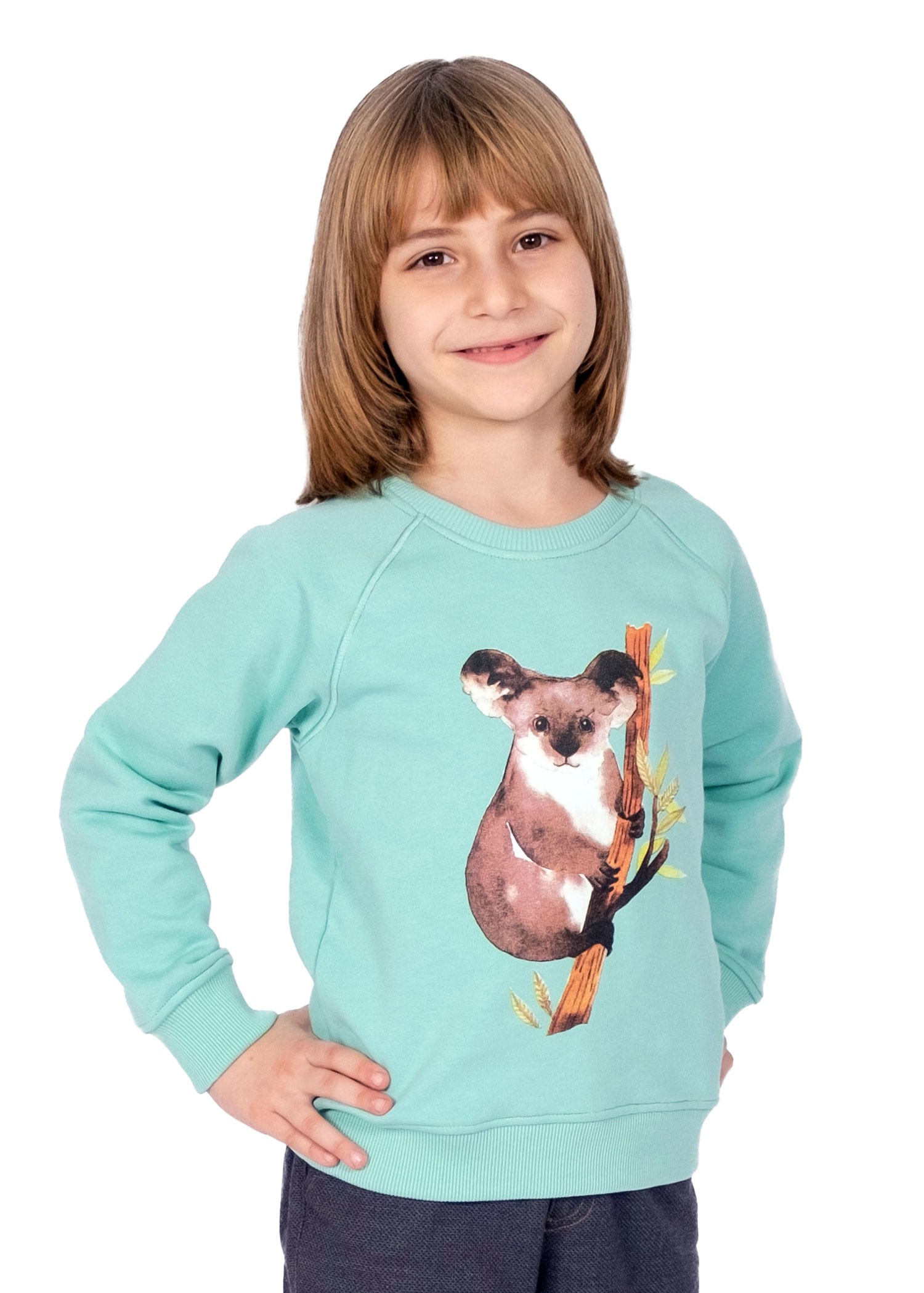 Organic Cotton Koala Printed Green Winter Boy Sweatshirt