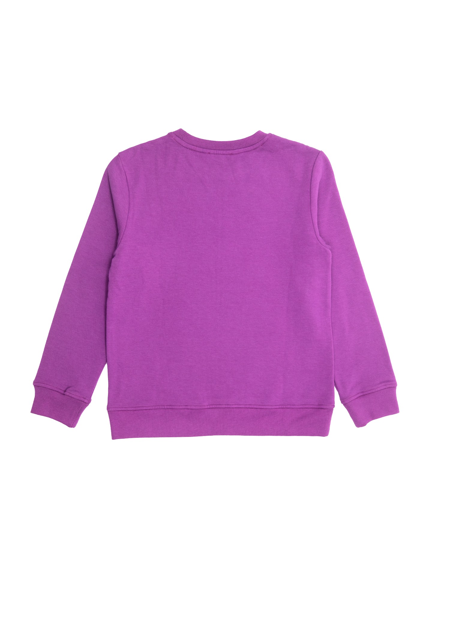 Bamboo Fabric Raised Purple Winter Girls' Sweatshirt