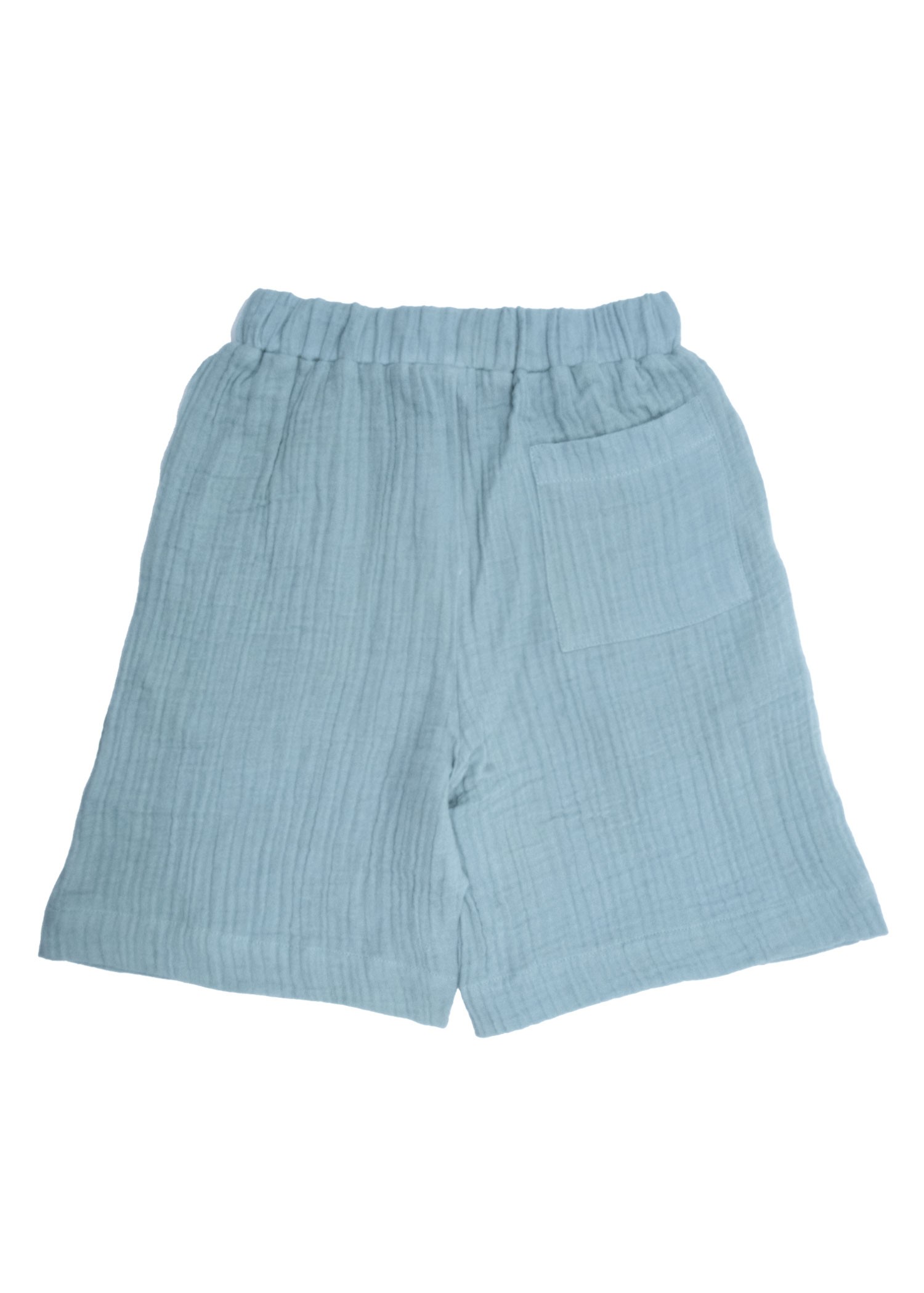 Organic Blue Summer Little Boy Shorts