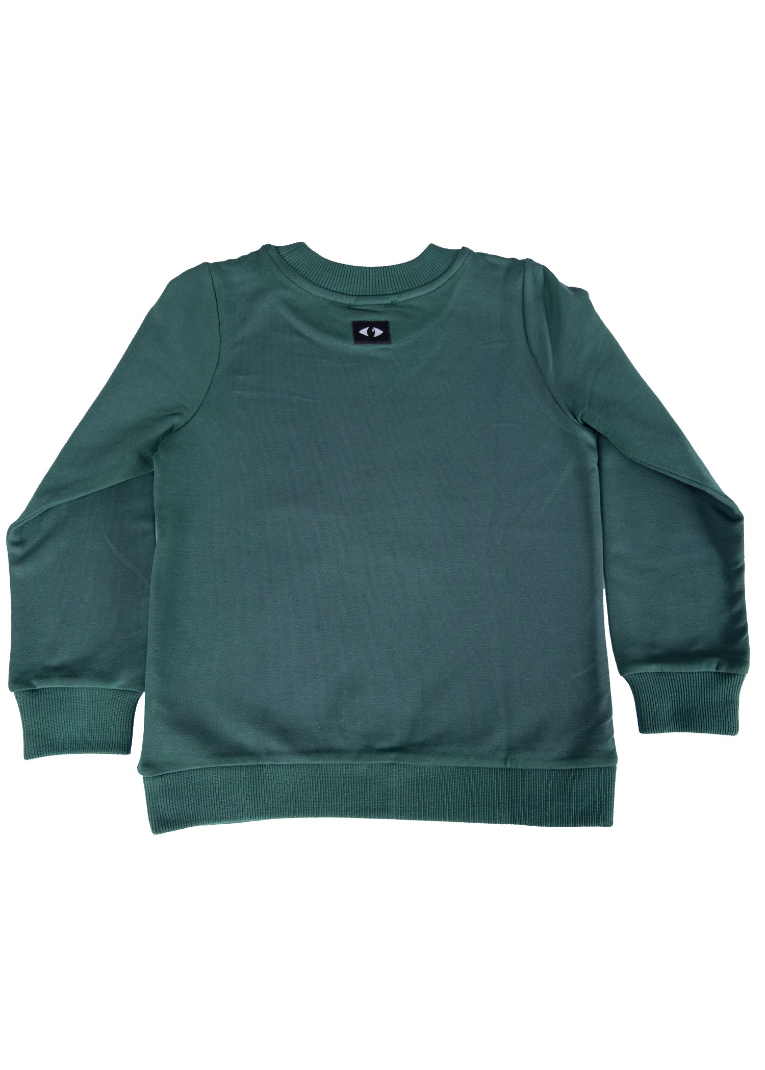 Organic Cotton London Printed Winter Boy Sweatshirt Green