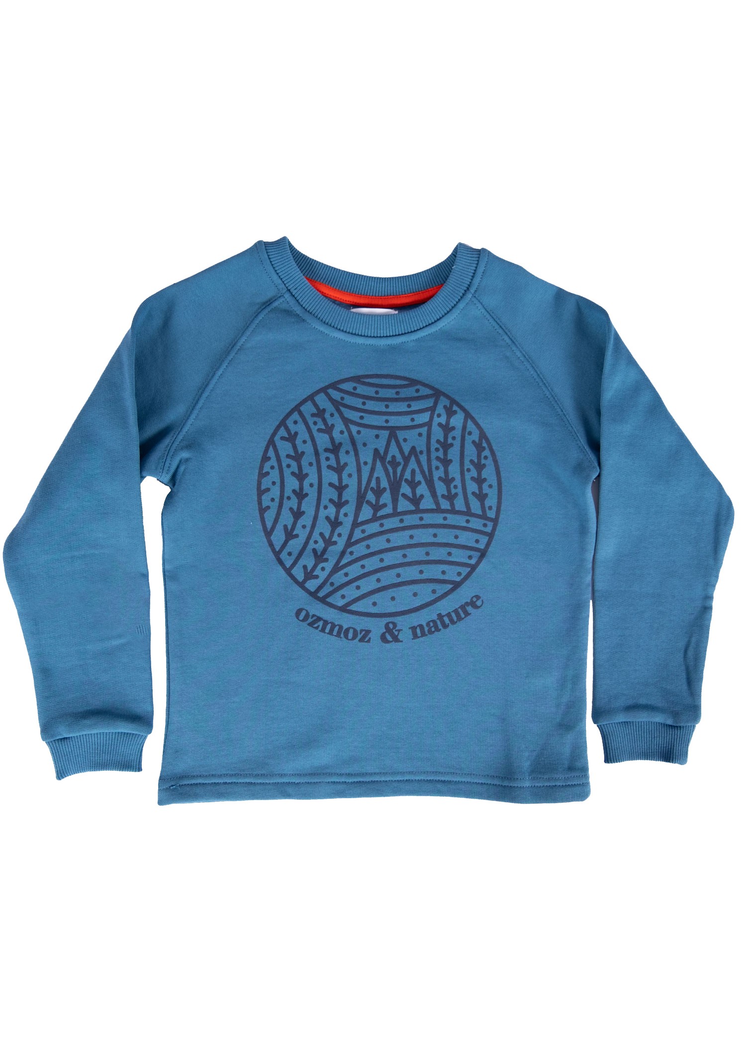 Organic Cotton Nature Printed Winter Boys' Sweatshirt Blue
