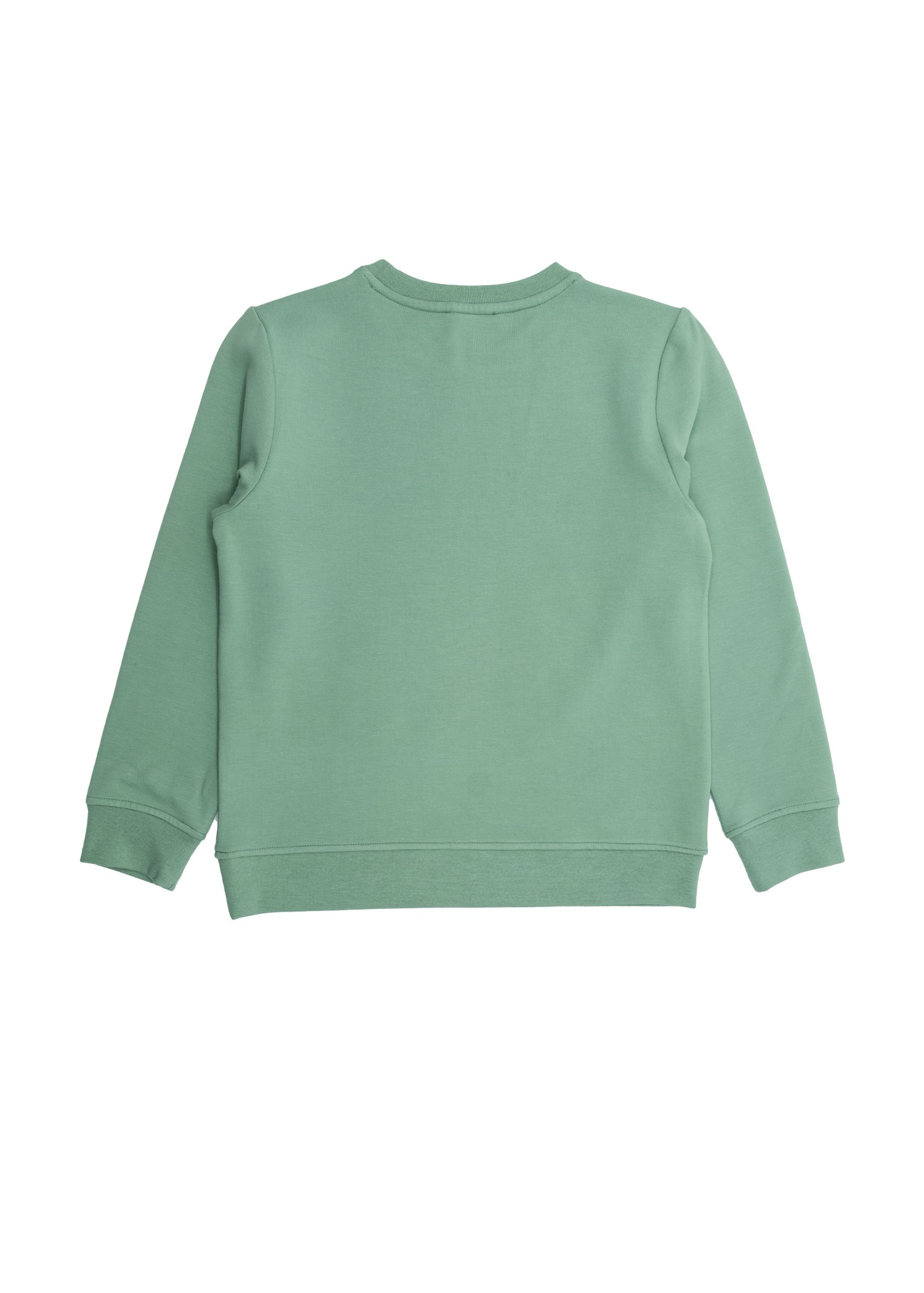 Bamboo Fabric Raised Green Winter Unisex Children's Sweatshirt