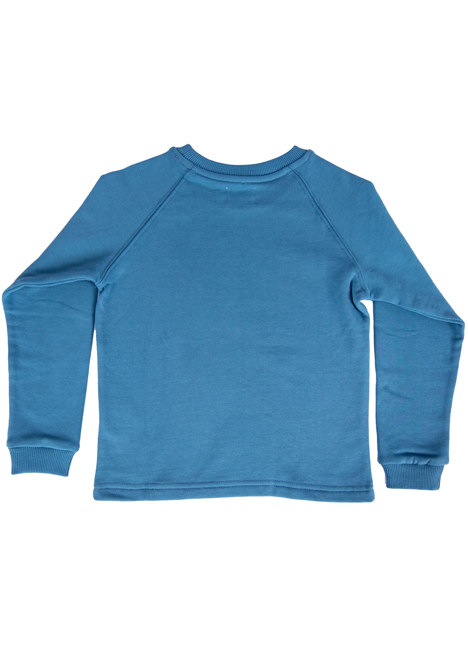 Organic Cotton Nature Printed Winter Boys' Sweatshirt Blue