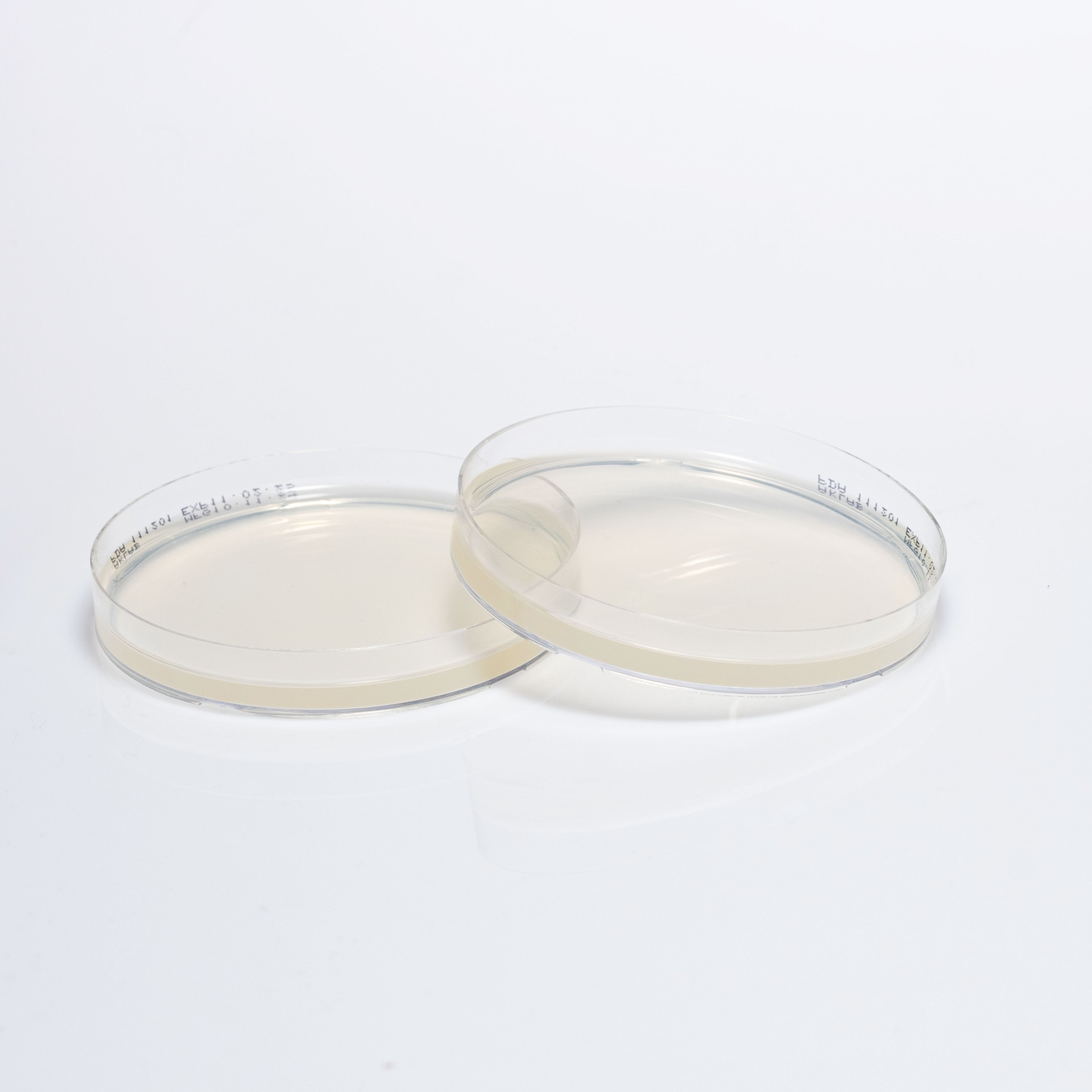 PREPARED POTATO DEXTROSE AGAR