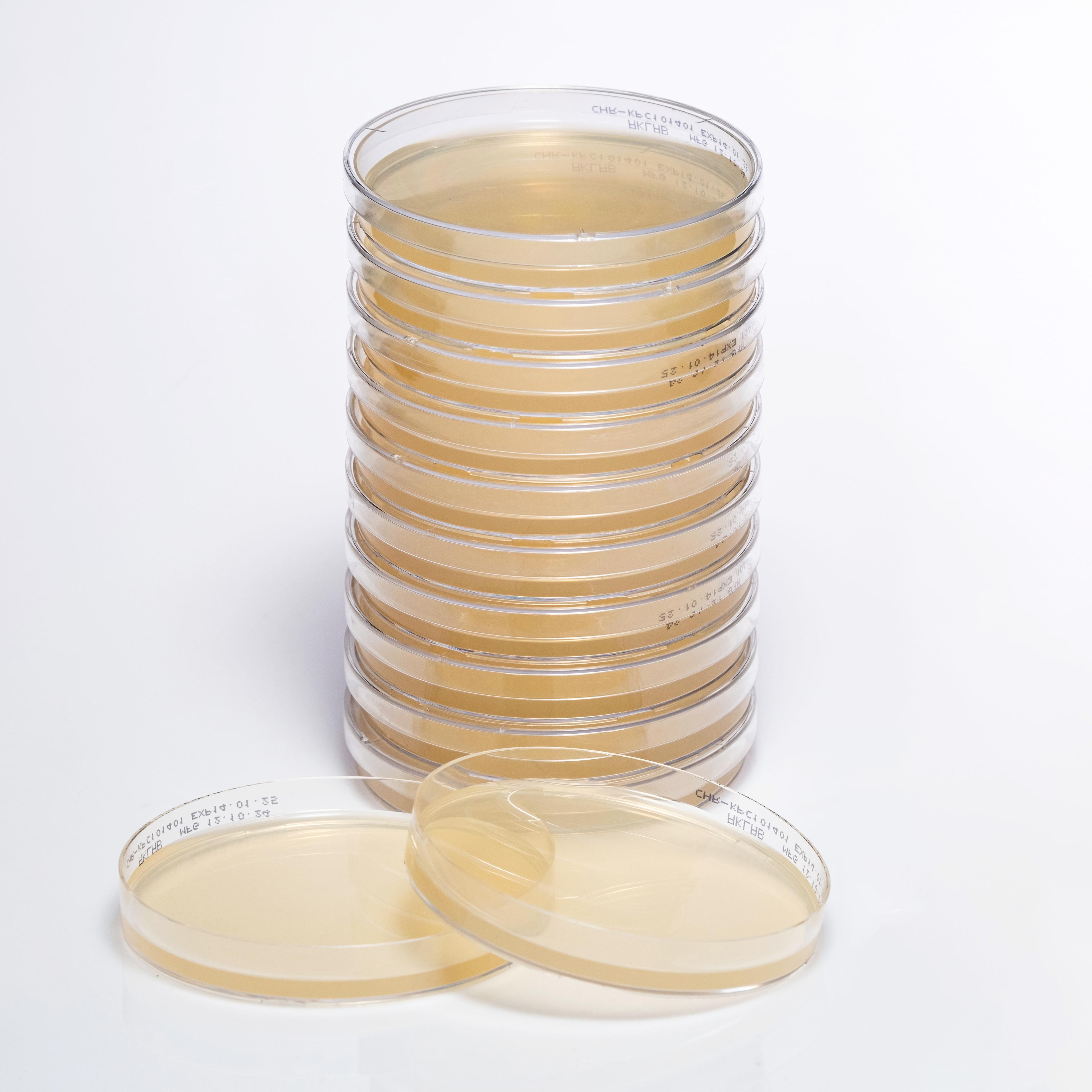 PREPARED CHROMOGENIC KPC AGAR image