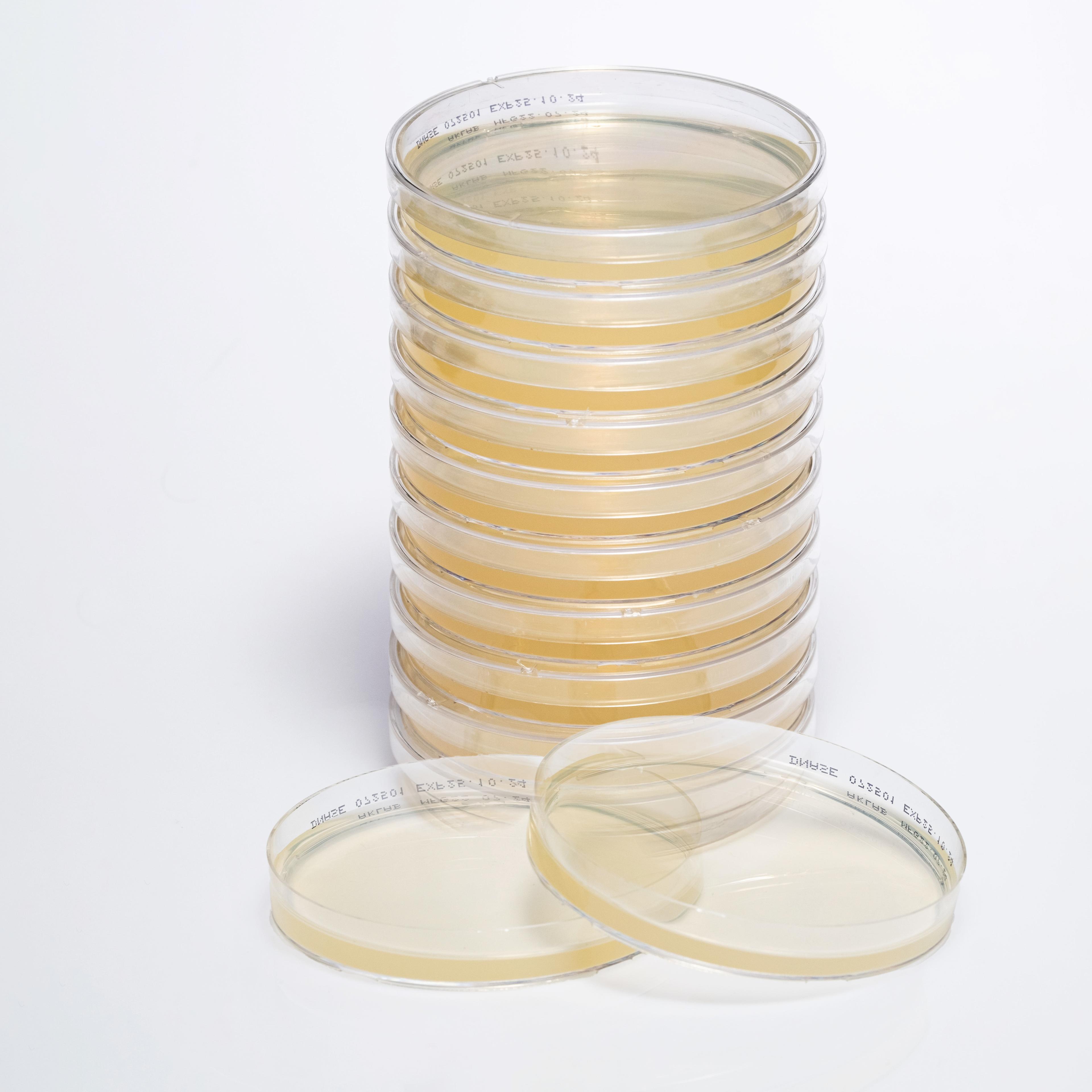 PREPARED DNASE AGAR image