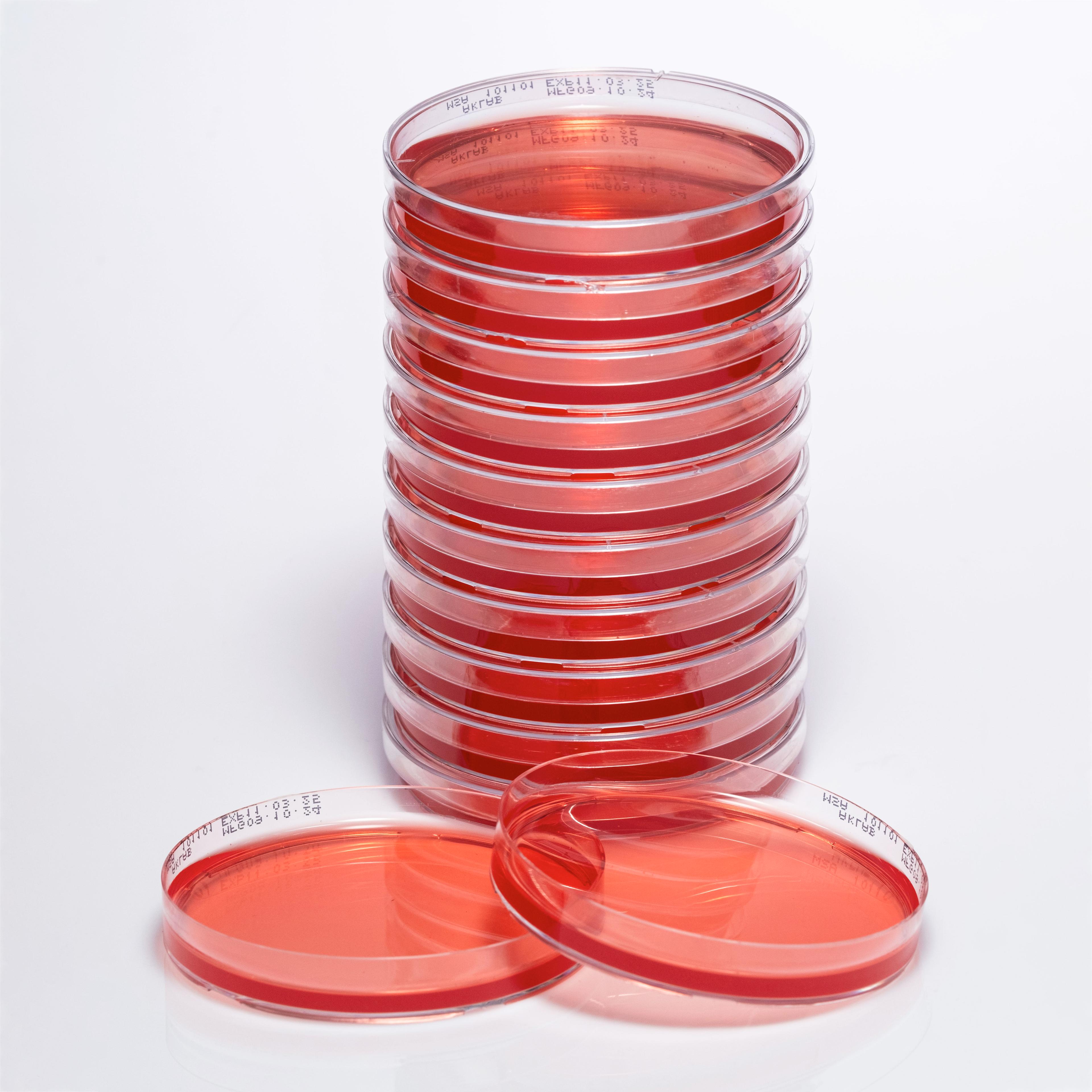 PREPARED MANNITOL SALT AGAR main variant image