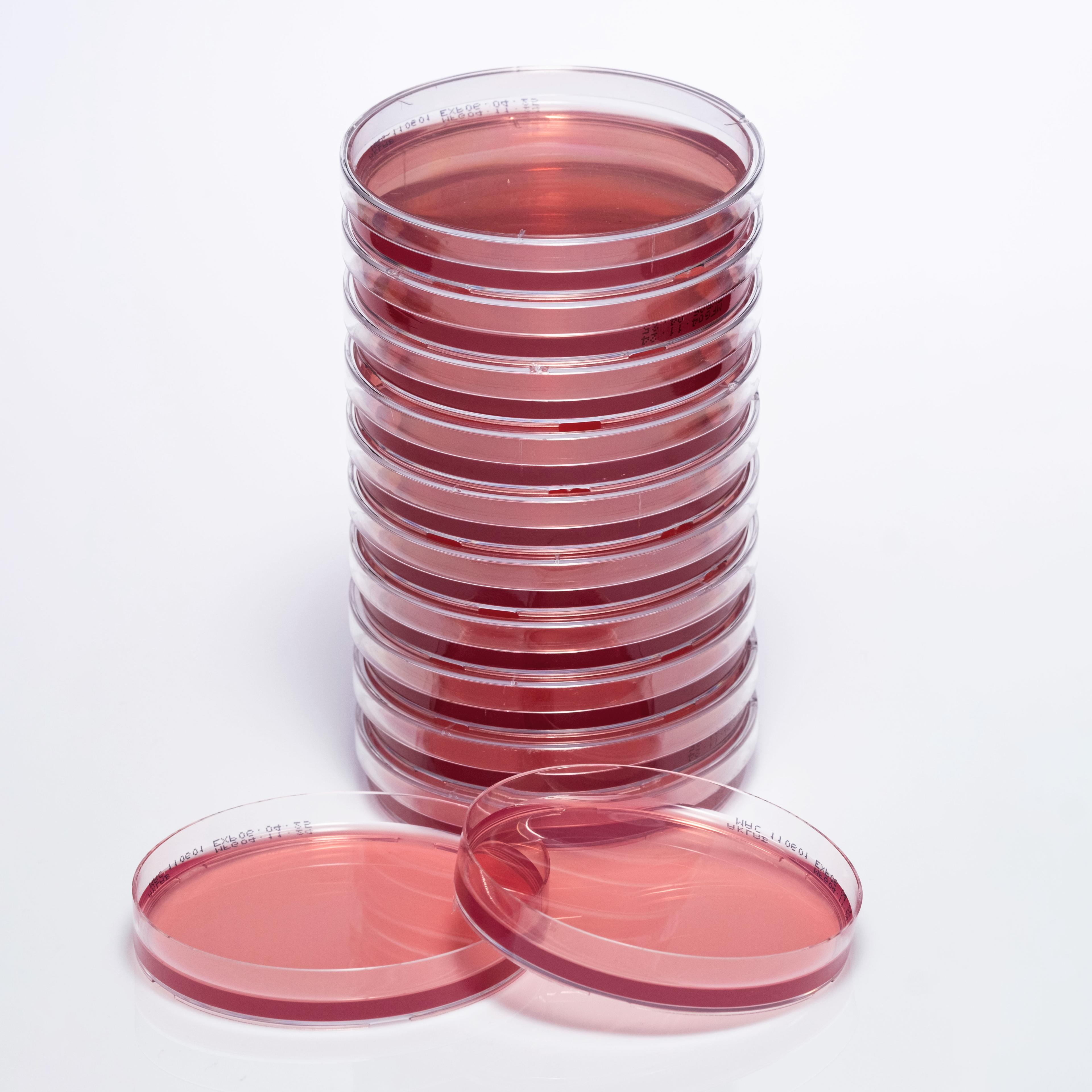 PREPARED MACCONKEY AGAR