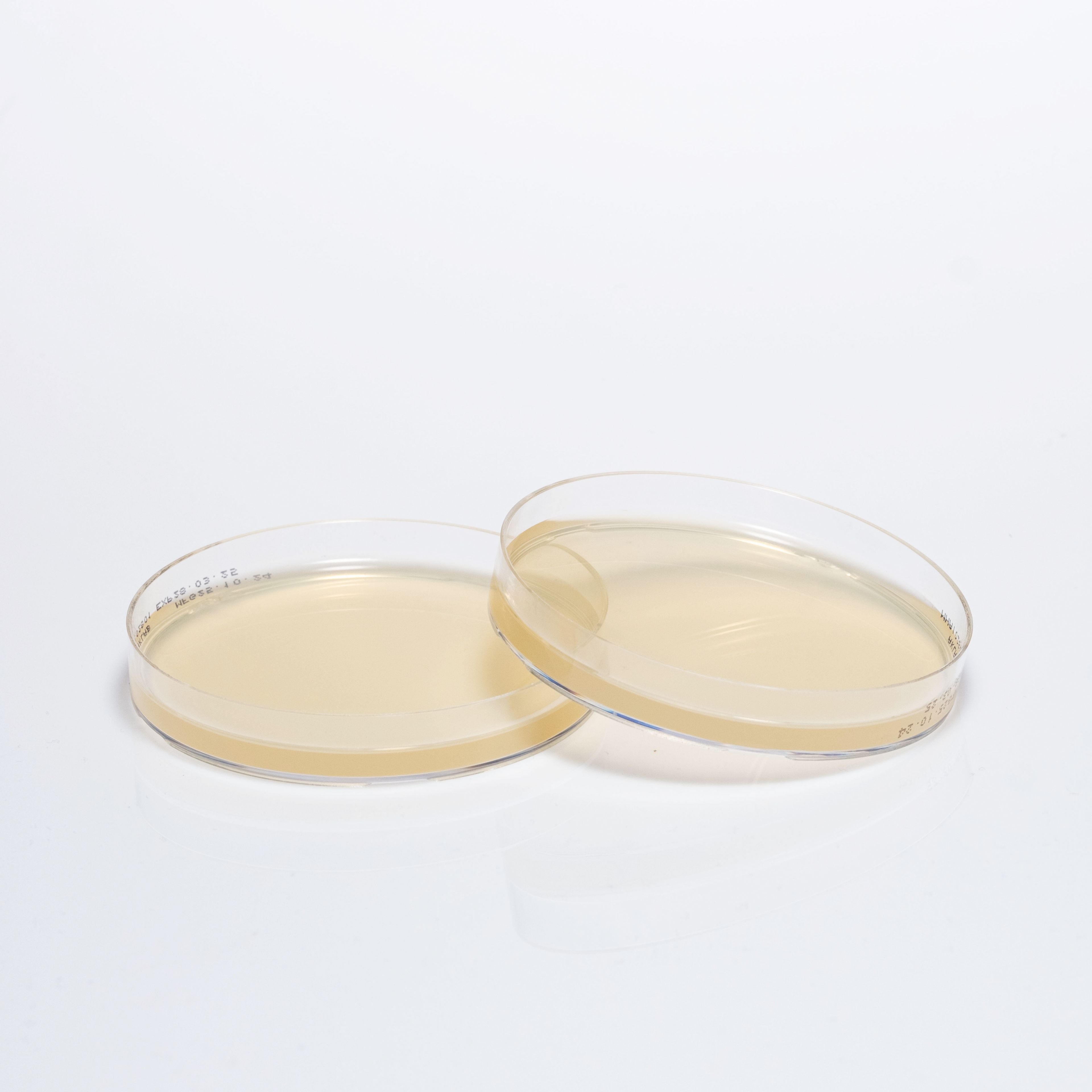 PREPARED MUELLER HINTON AGAR