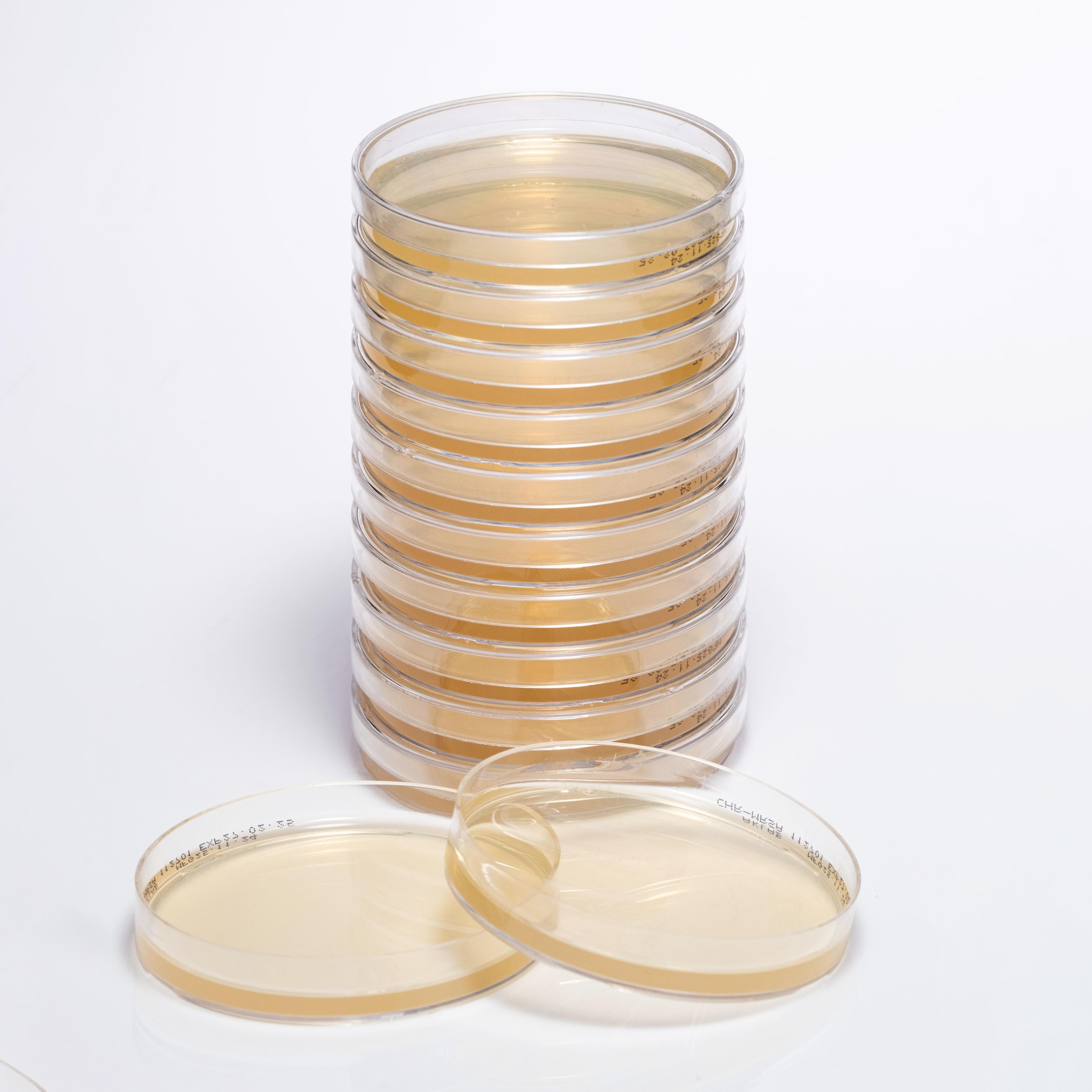 PREPARED CHROMOGENIC MRSA AGAR