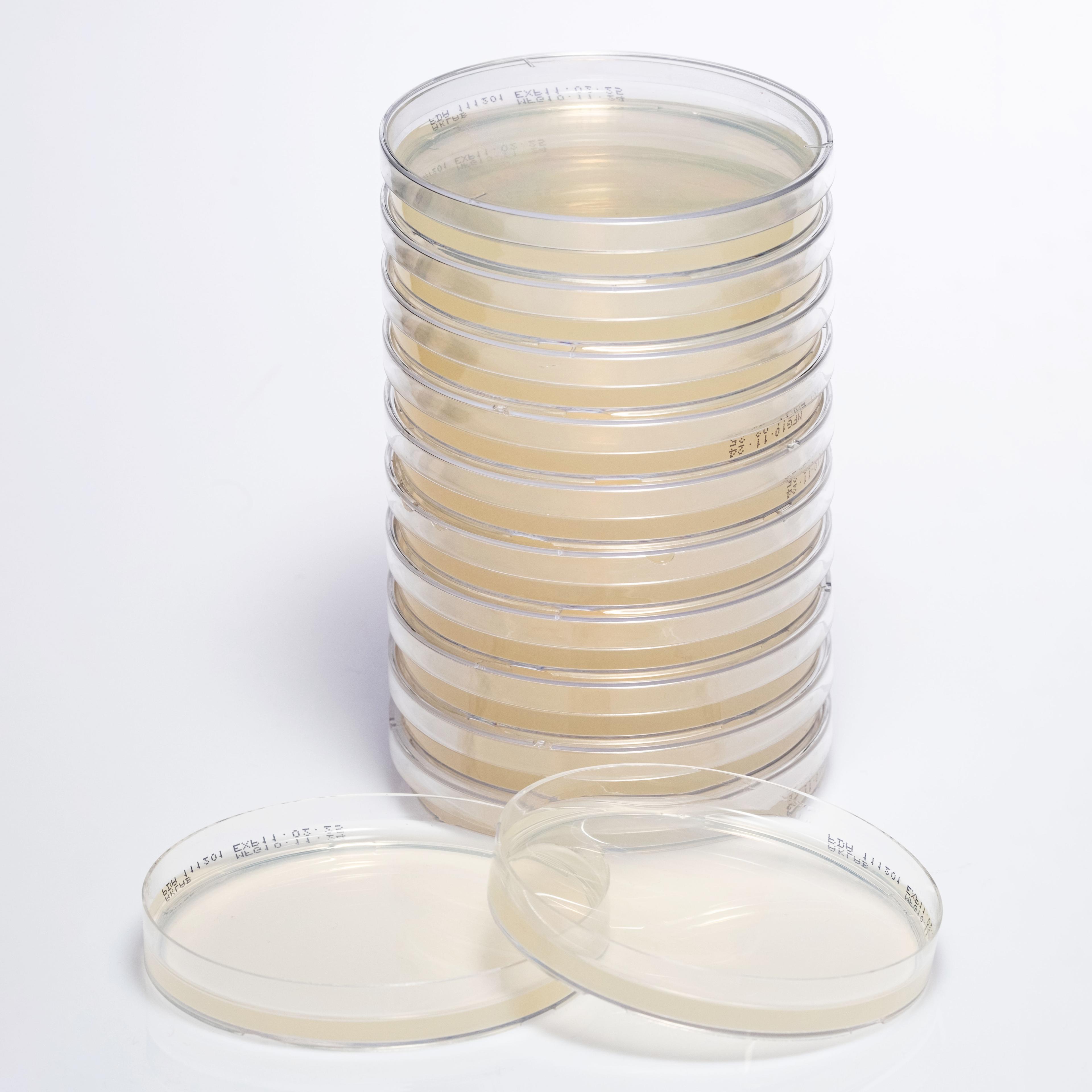 PREPARED POTATO DEXTROSE AGAR