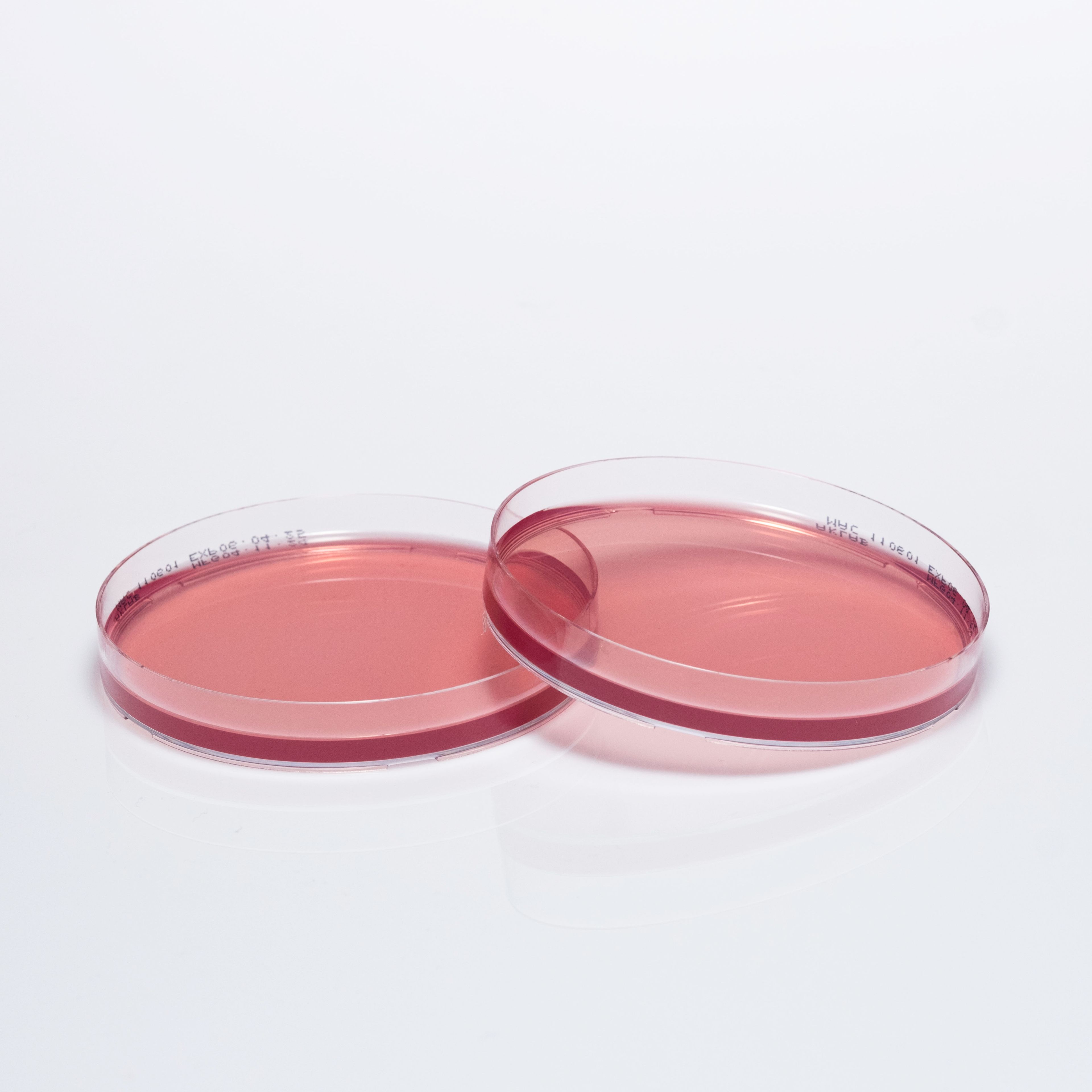 PREPARED MACCONKEY AGAR