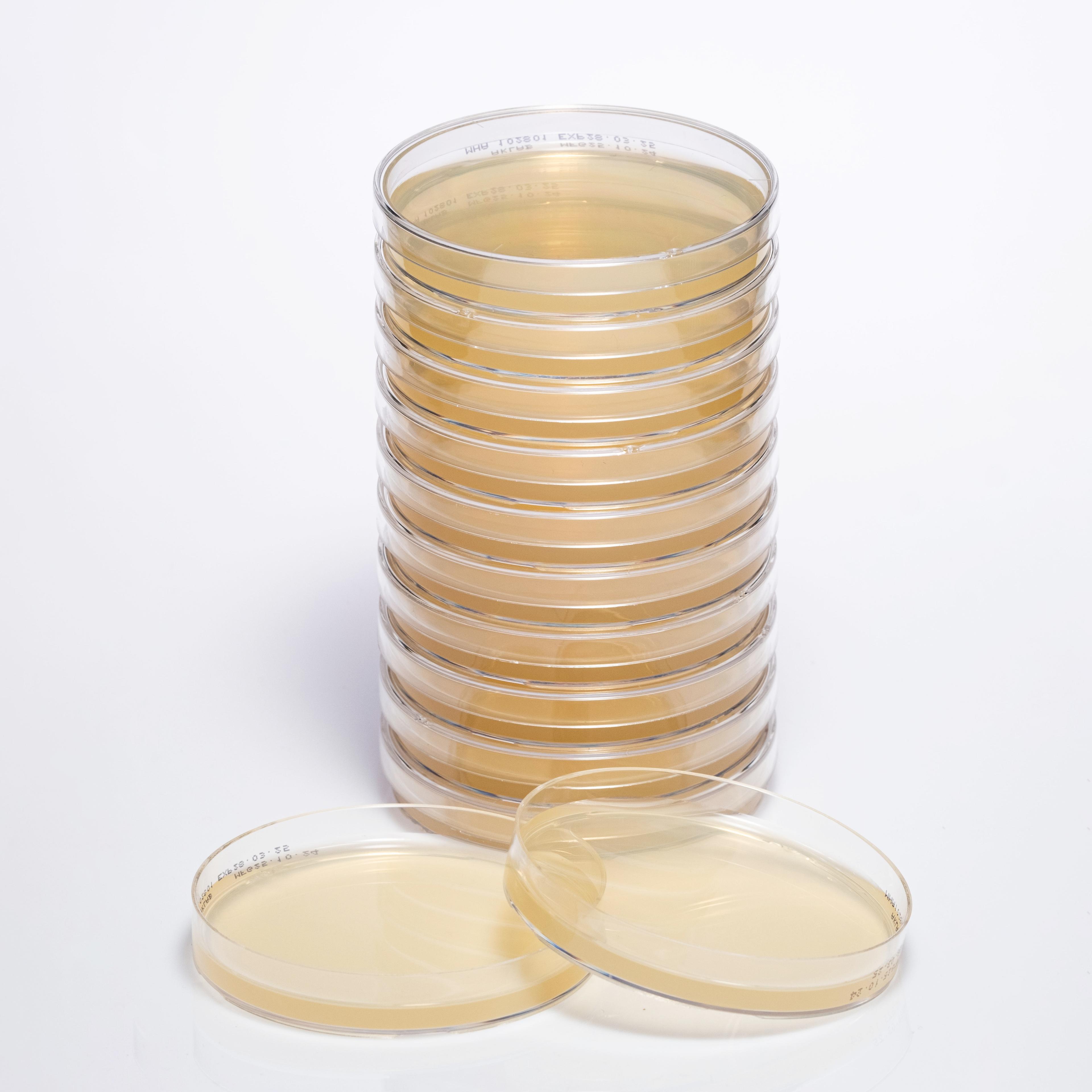 PREPARED MUELLER HINTON AGAR