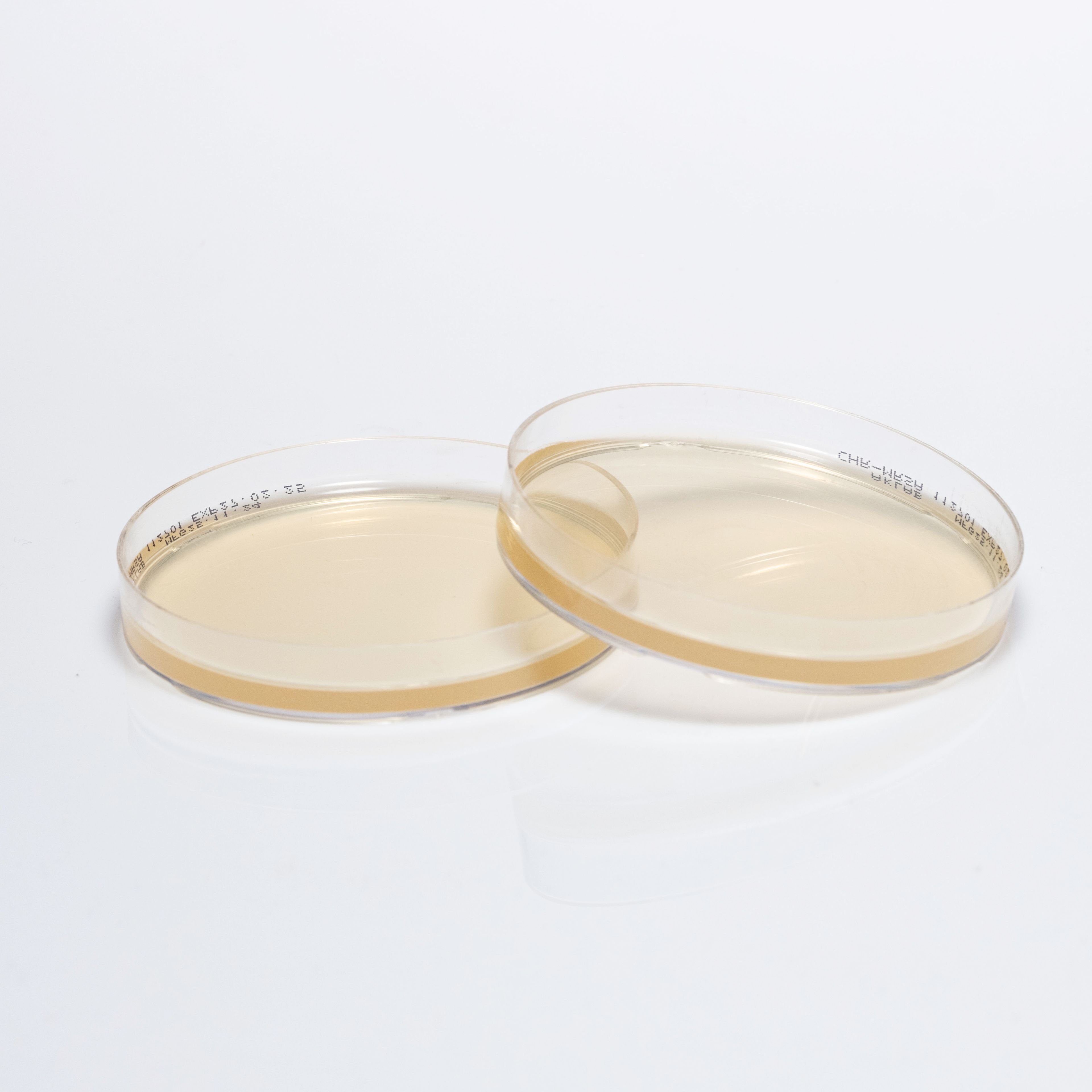 PREPARED CHROMOGENIC MRSA AGAR