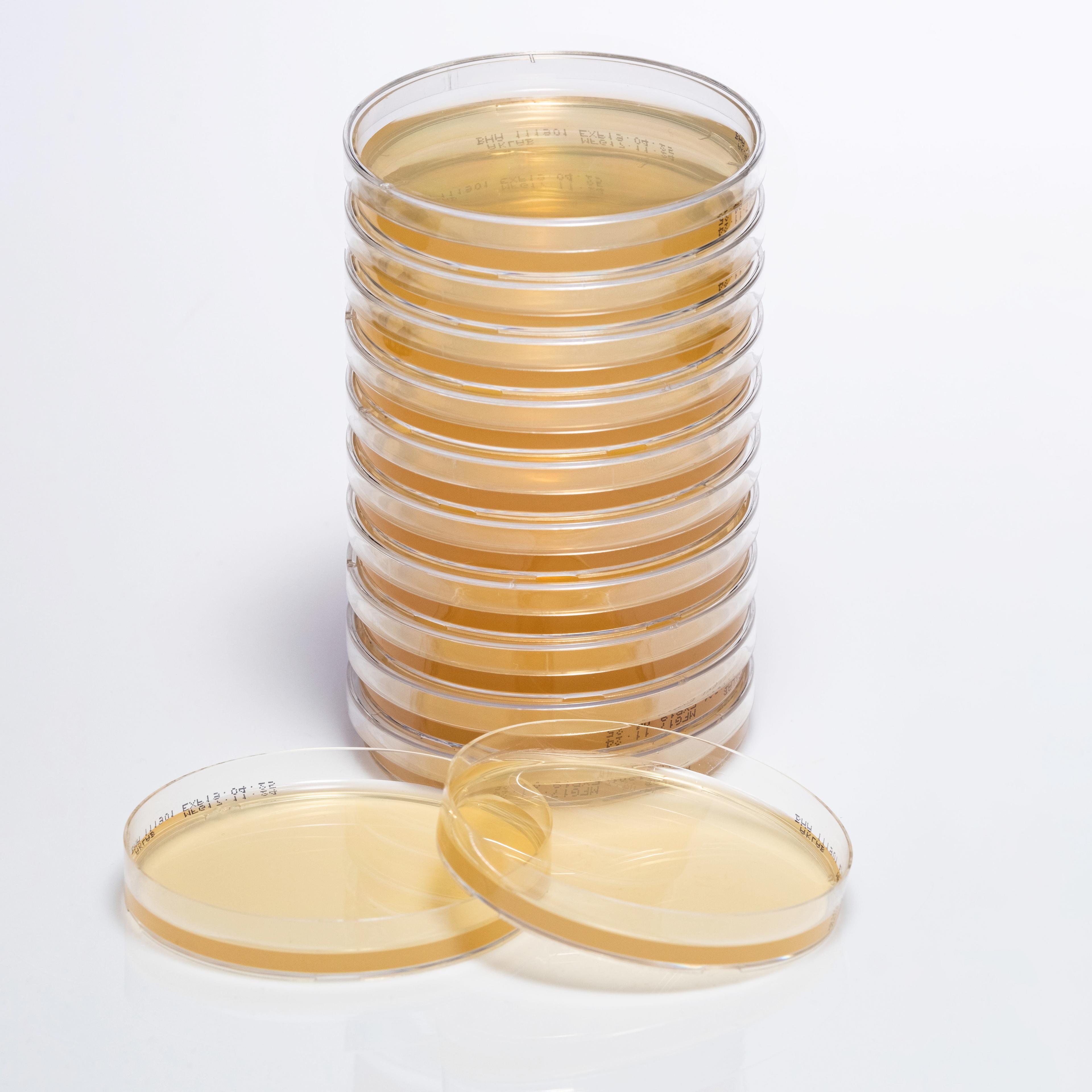 PREPARED BRAIN HEART INFUSION AGAR image