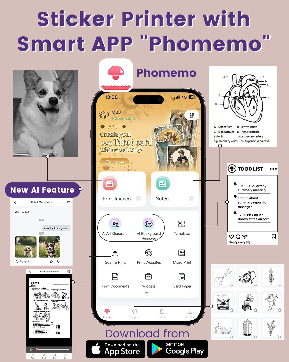 Phomemo M03 Mini Fotoğraf & Etiket Yazıcısı (53mm / 80mm)