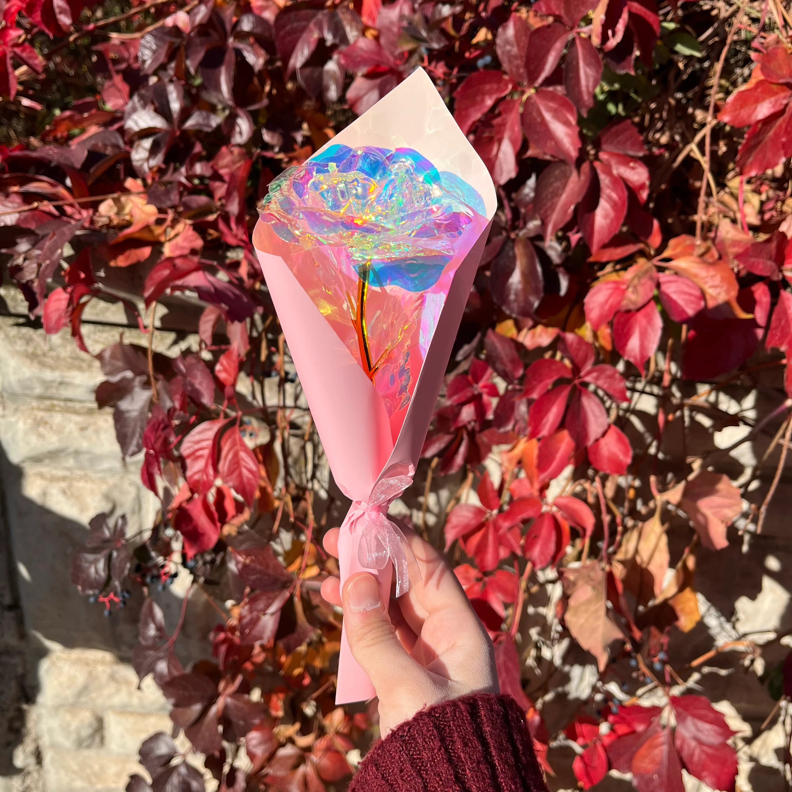 Melek Kanadı Kolye Hediye Seti