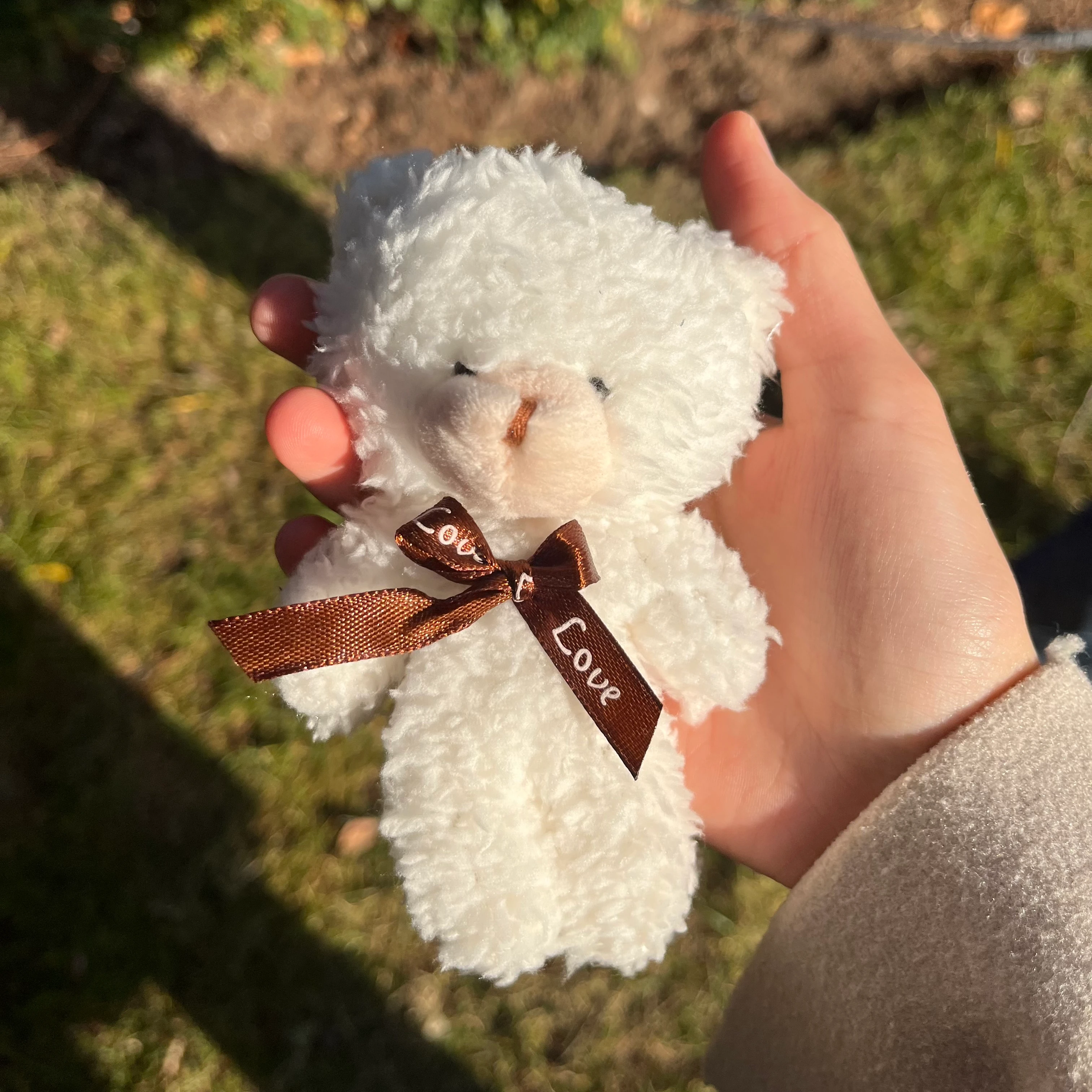 Paptya Kolye Set | Hologram Sonsuzluk gülü hediye kutusu